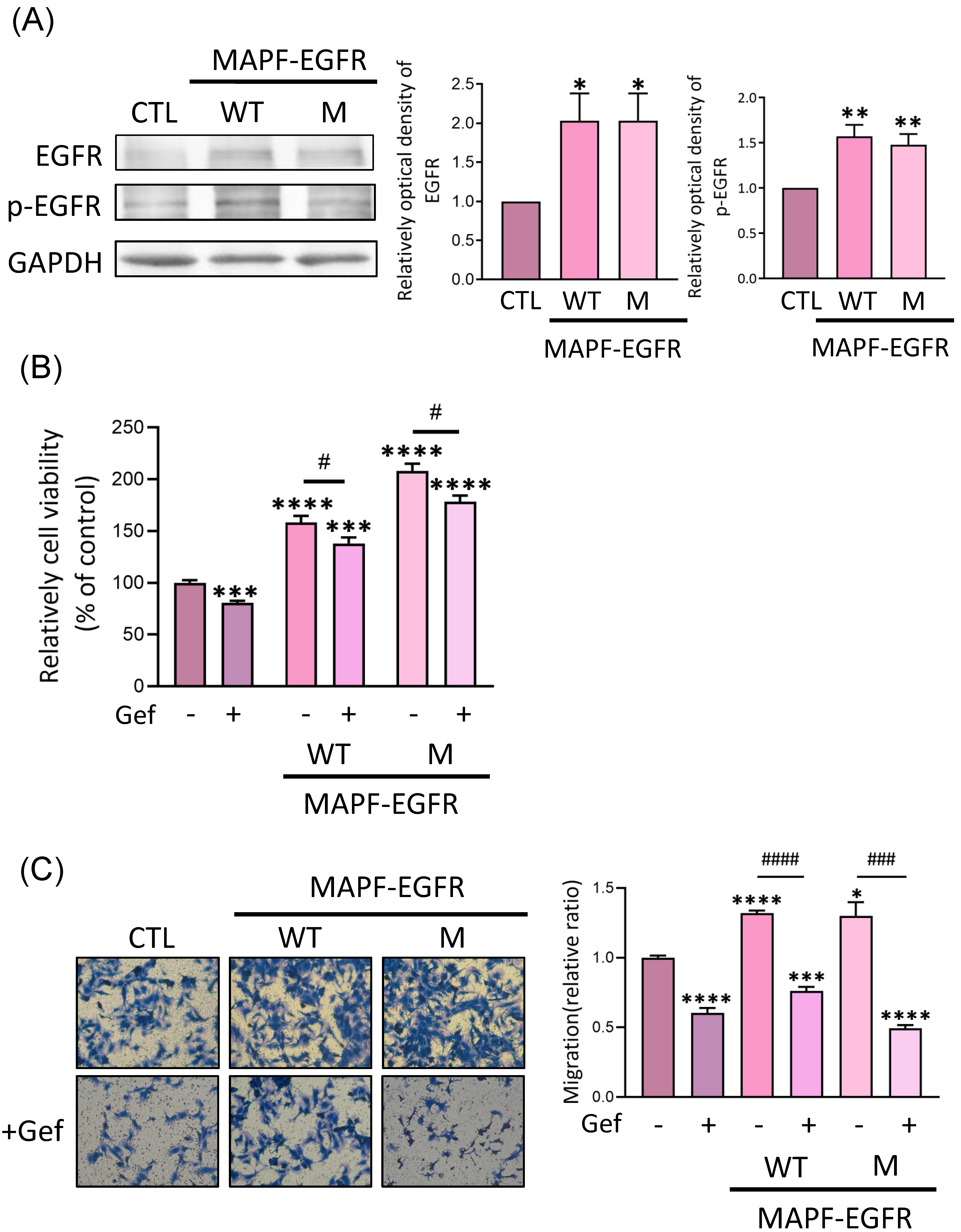 Biomedicines 09 01327 g004