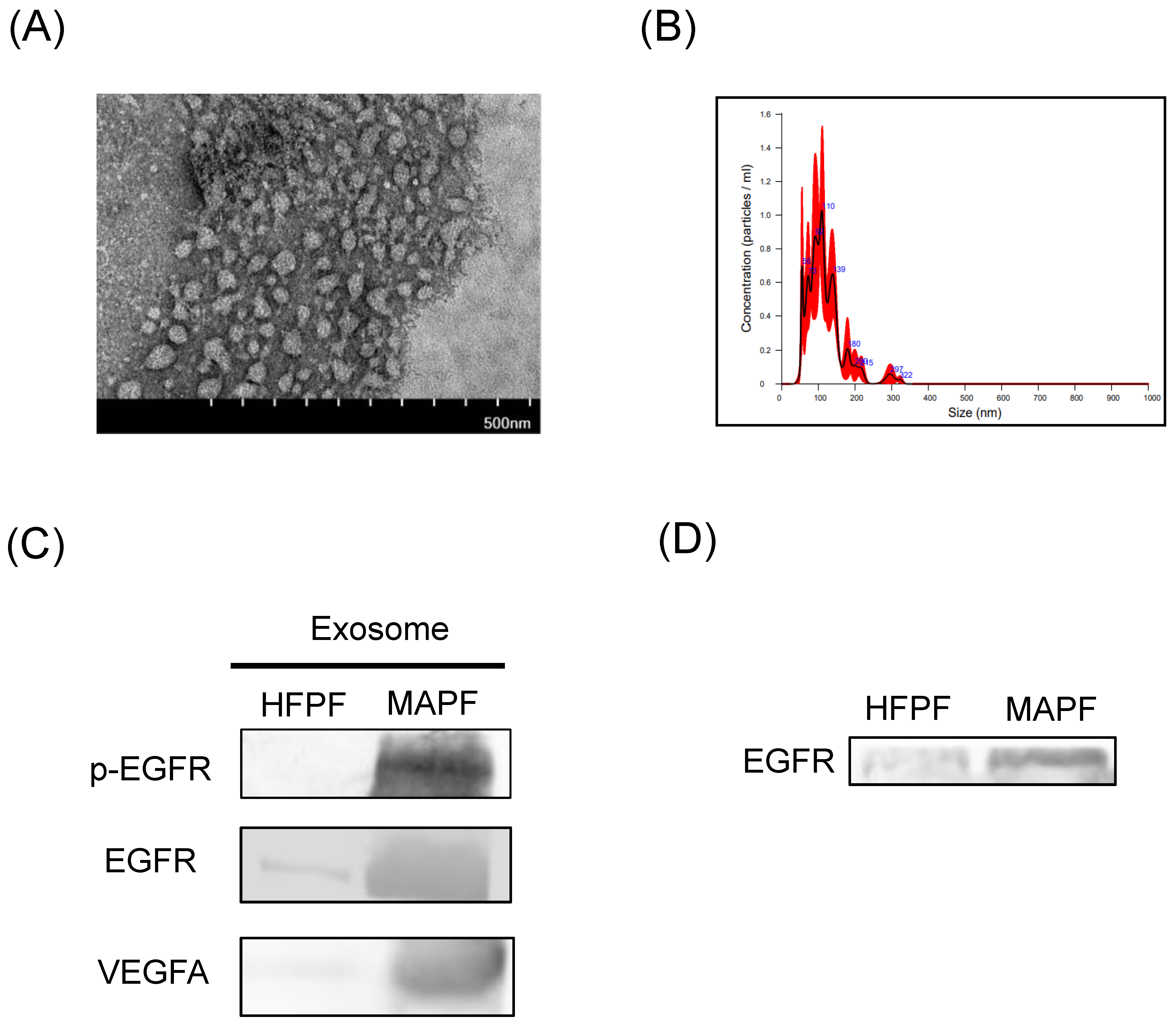 Biomedicines 09 01327 g008