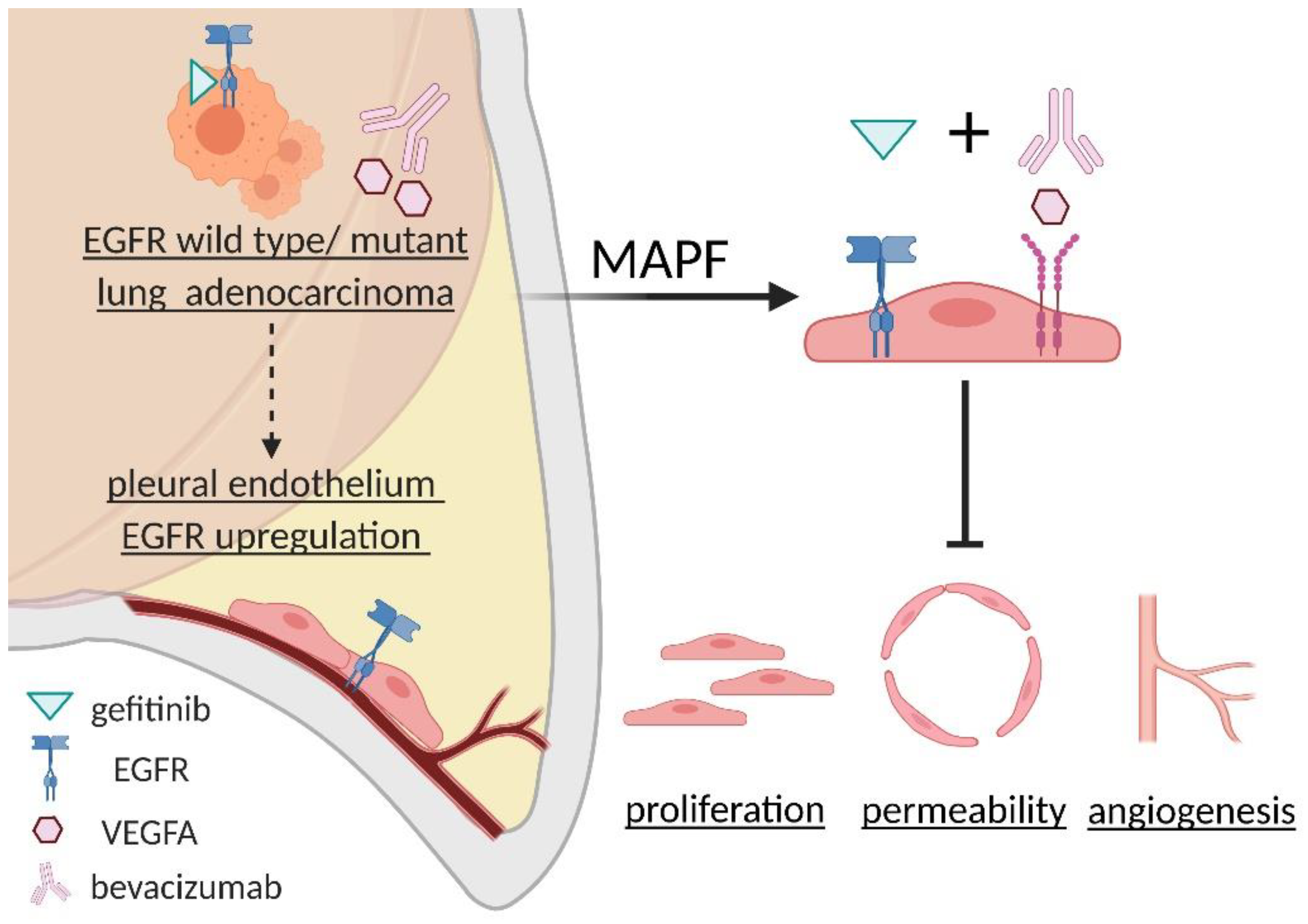 Biomedicines 09 01327 g009