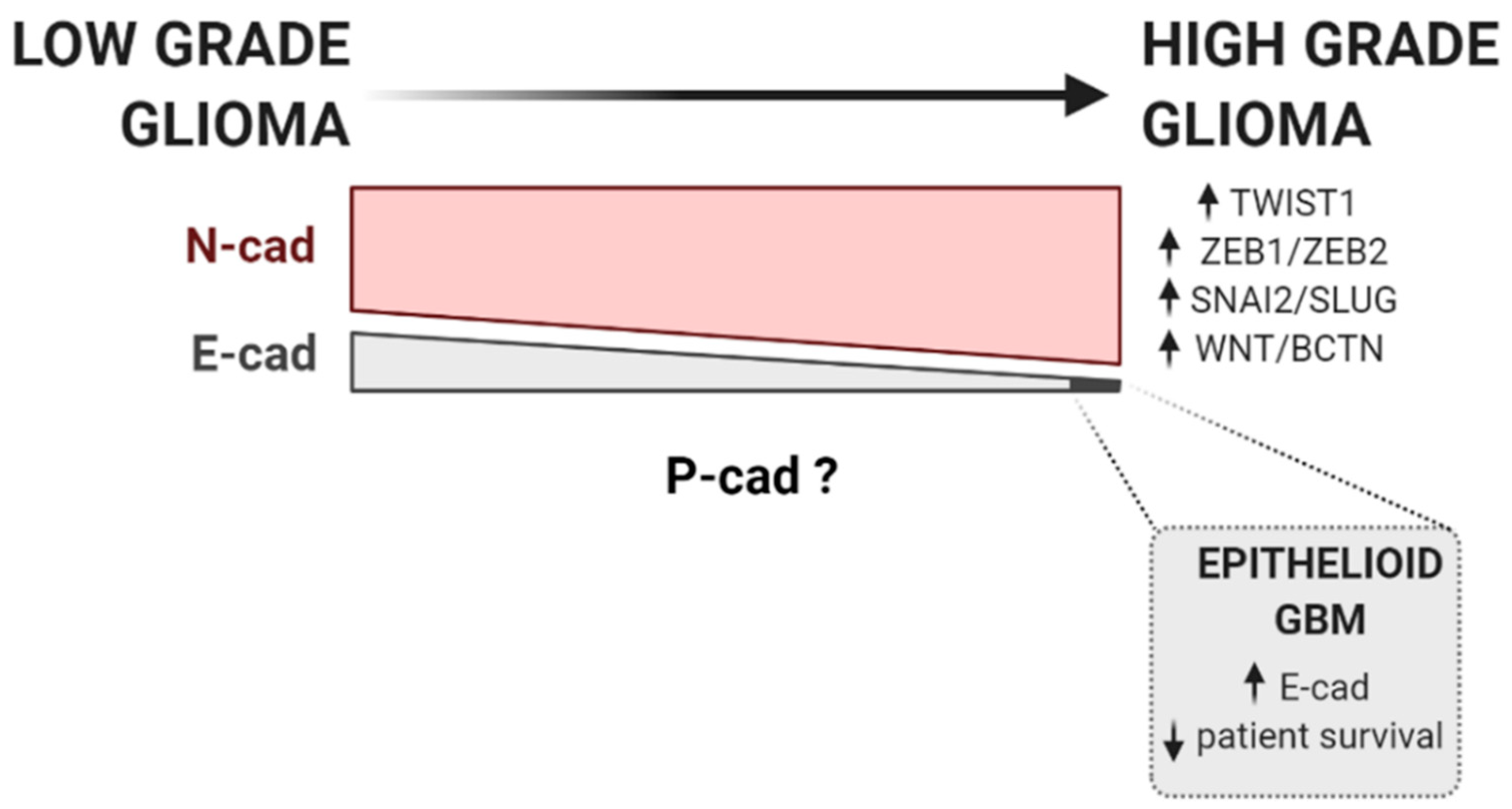 Biomedicines 09 01328 g001 Biomedicines 09 01328 g001