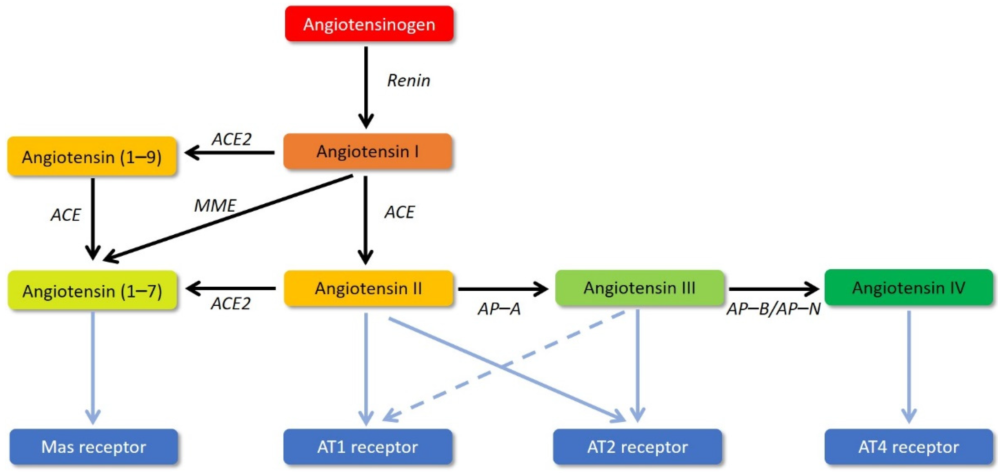 Biomedicines 09 01332 g001