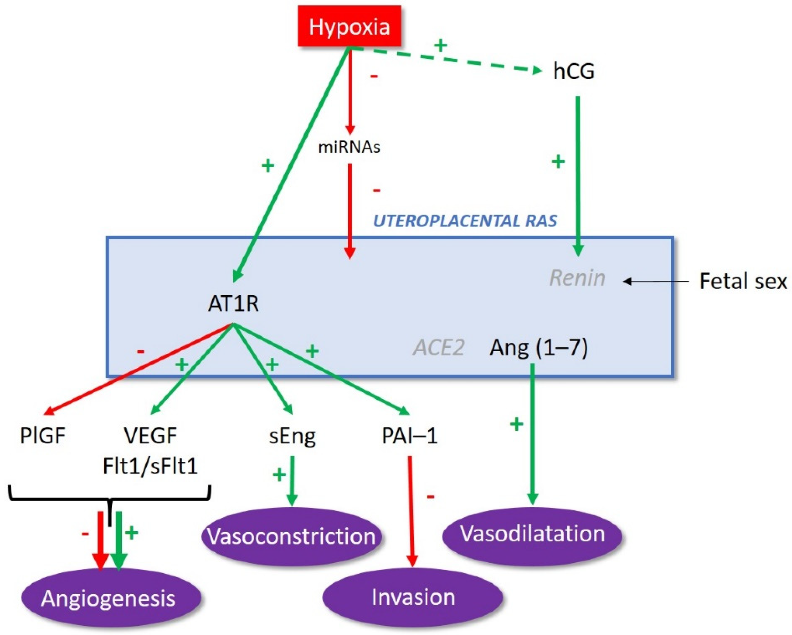 Biomedicines 09 01332 g003