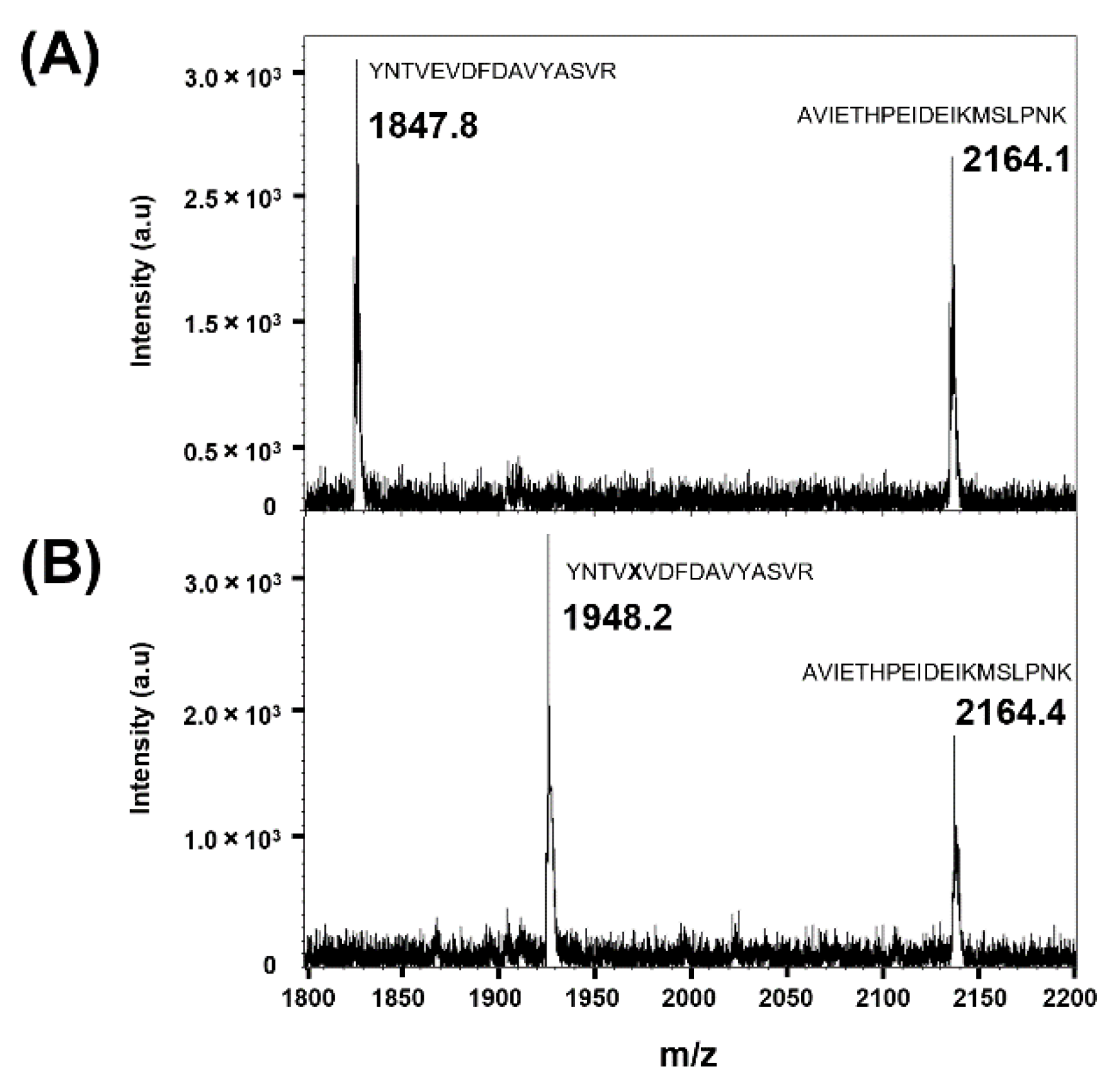 Biomedicines 09 01334 g003