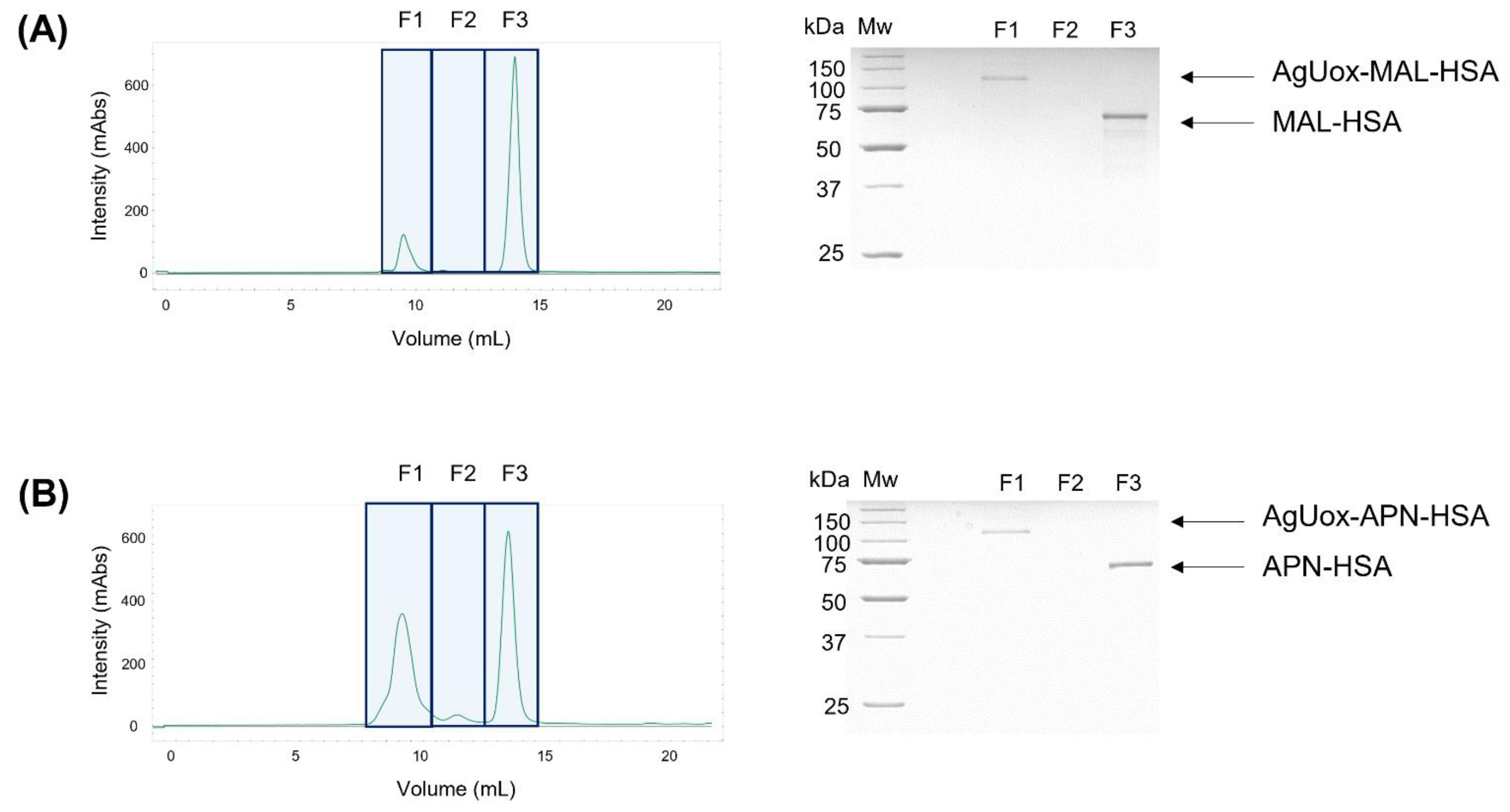 Biomedicines 09 01334 g005