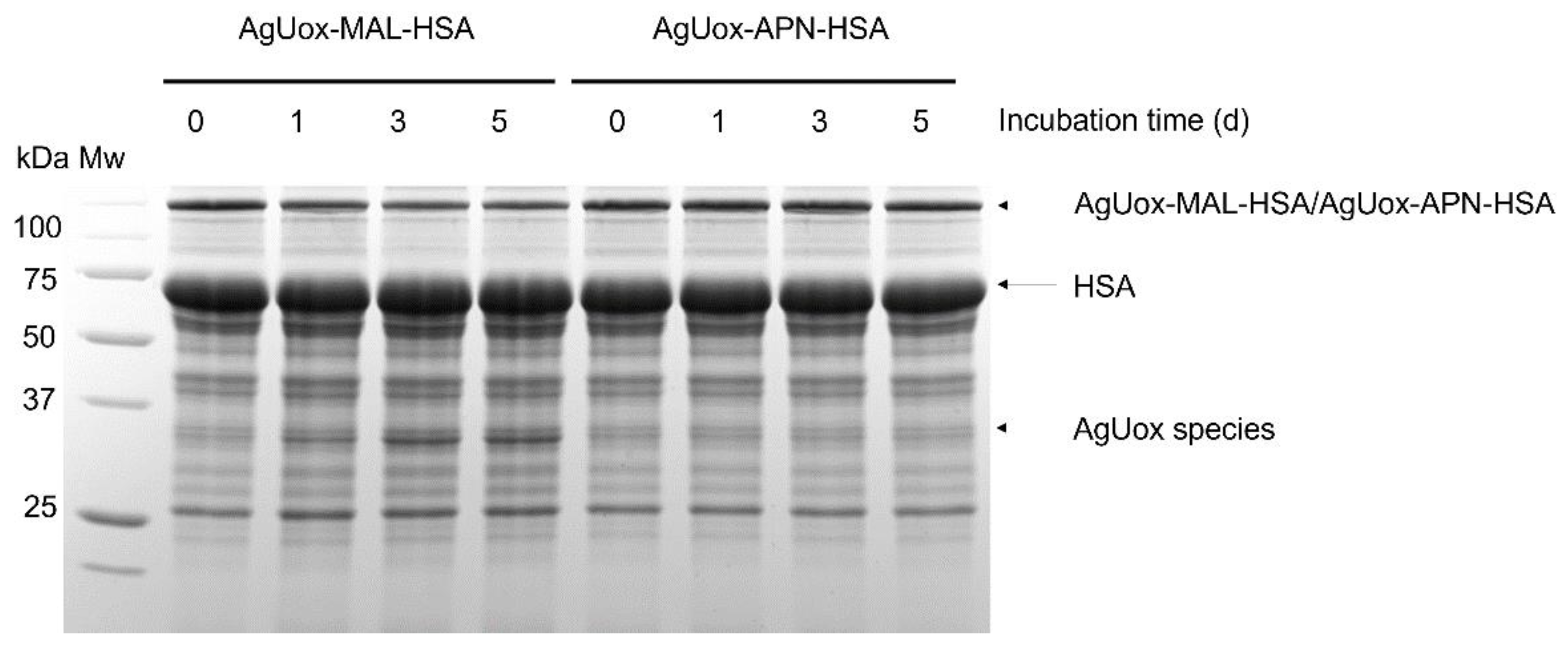 Biomedicines 09 01334 g007