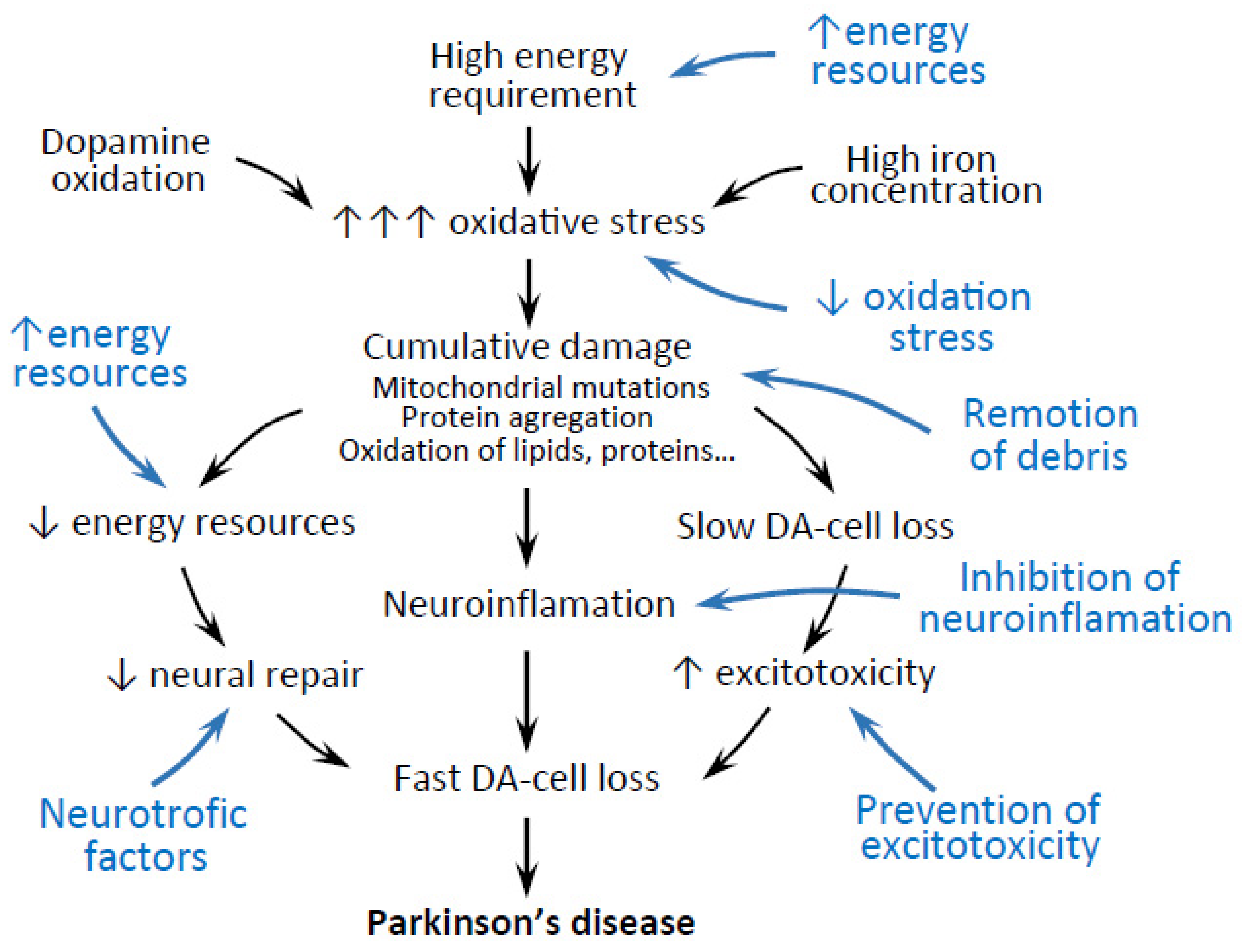 Biomedicines 09 01341 g001 Biomedicines 09 01341 g001