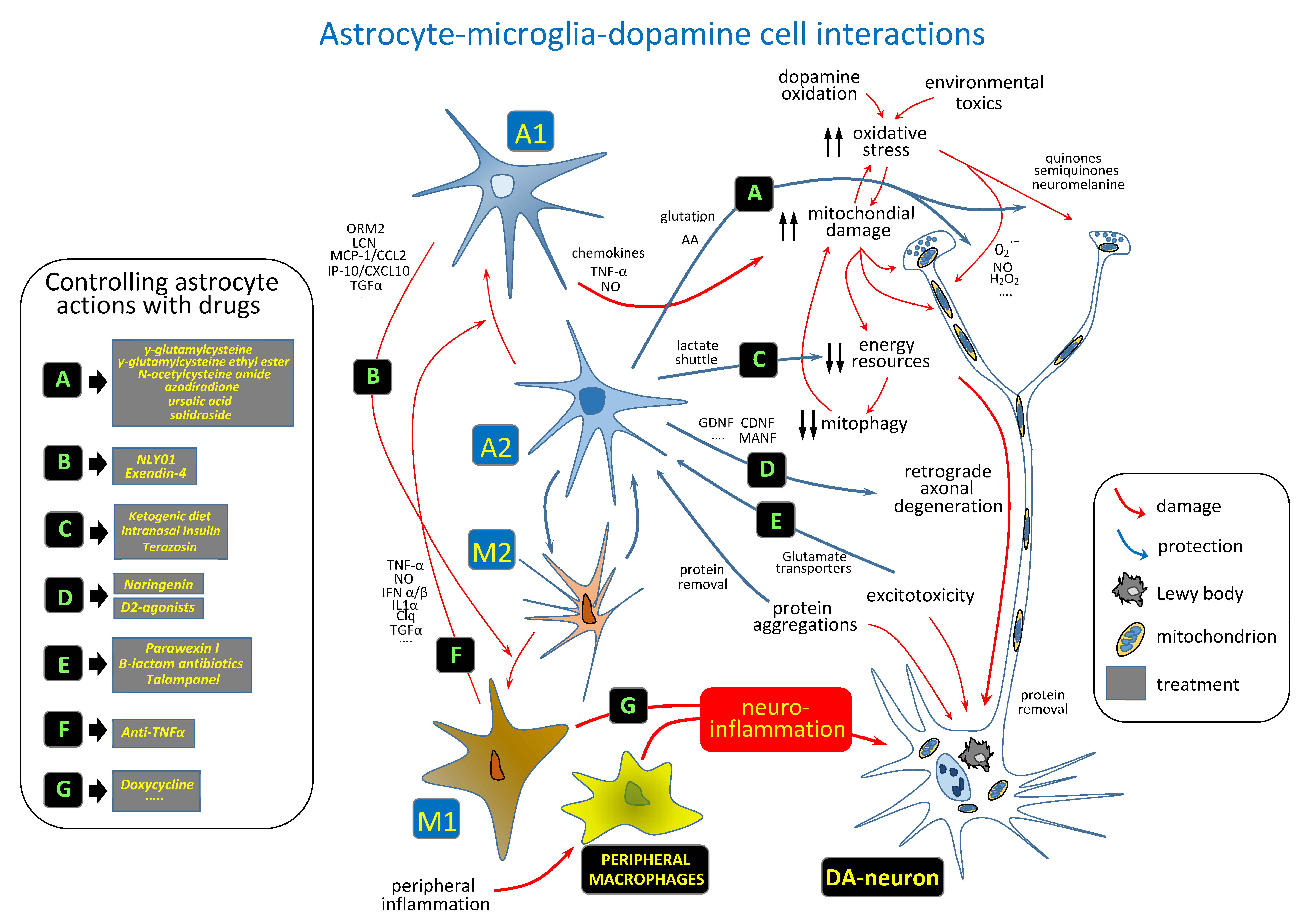 Biomedicines 09 01341 g002 Biomedicines 09 01341 g002