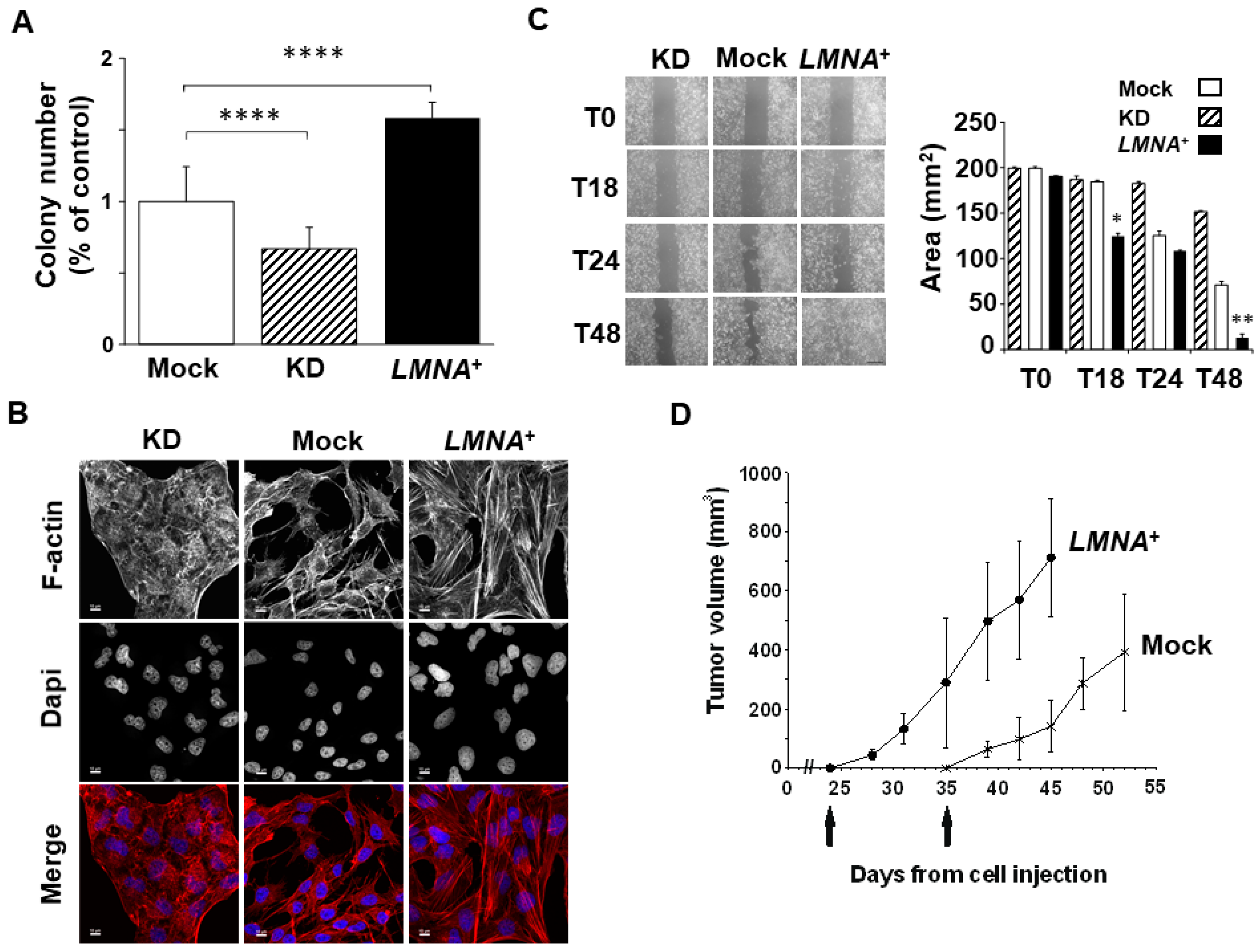 Biomedicines 09 01343 g004 550