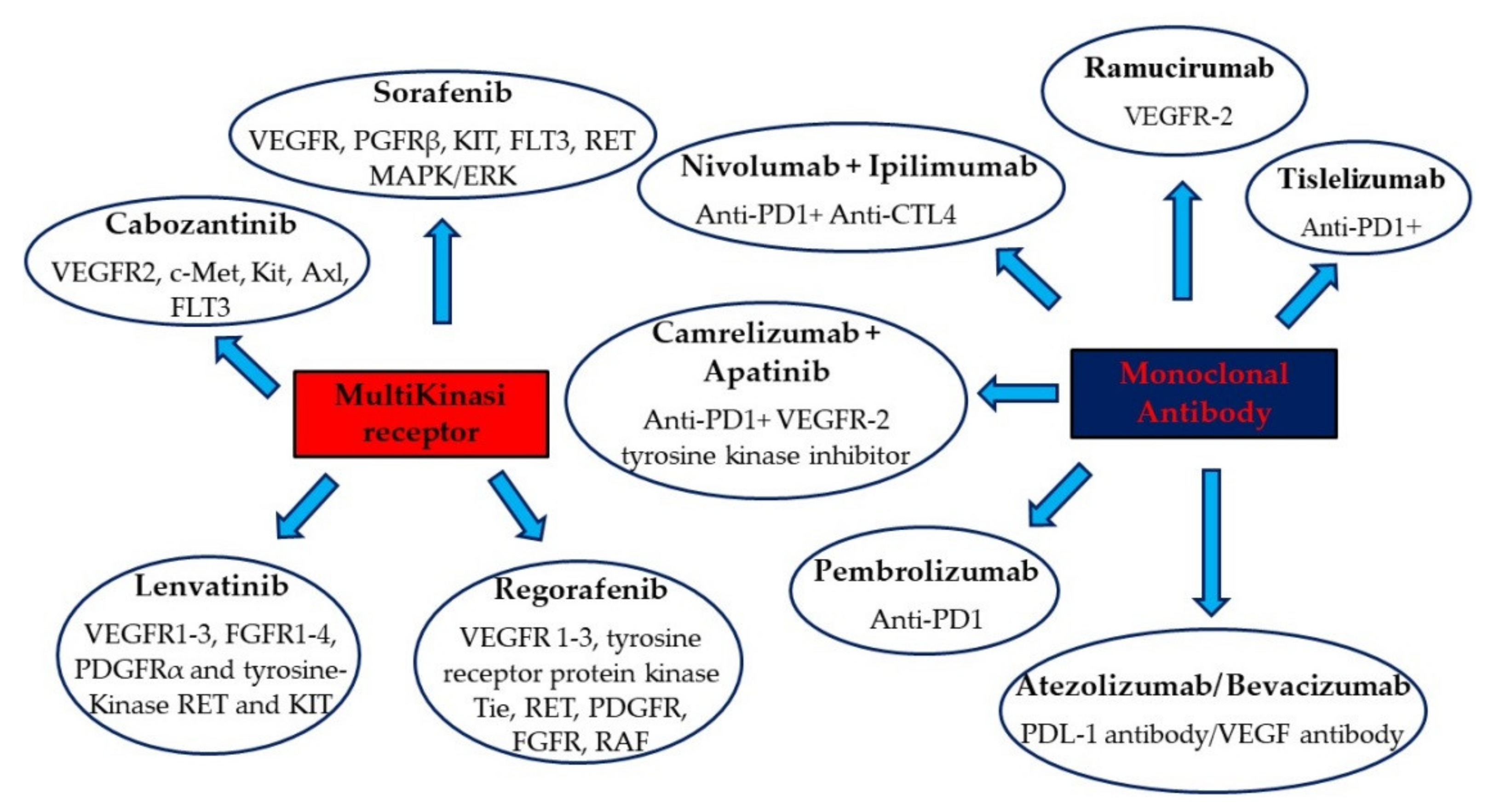 Biomedicines 09 01345 g001 Biomedicines 09 01345 g001