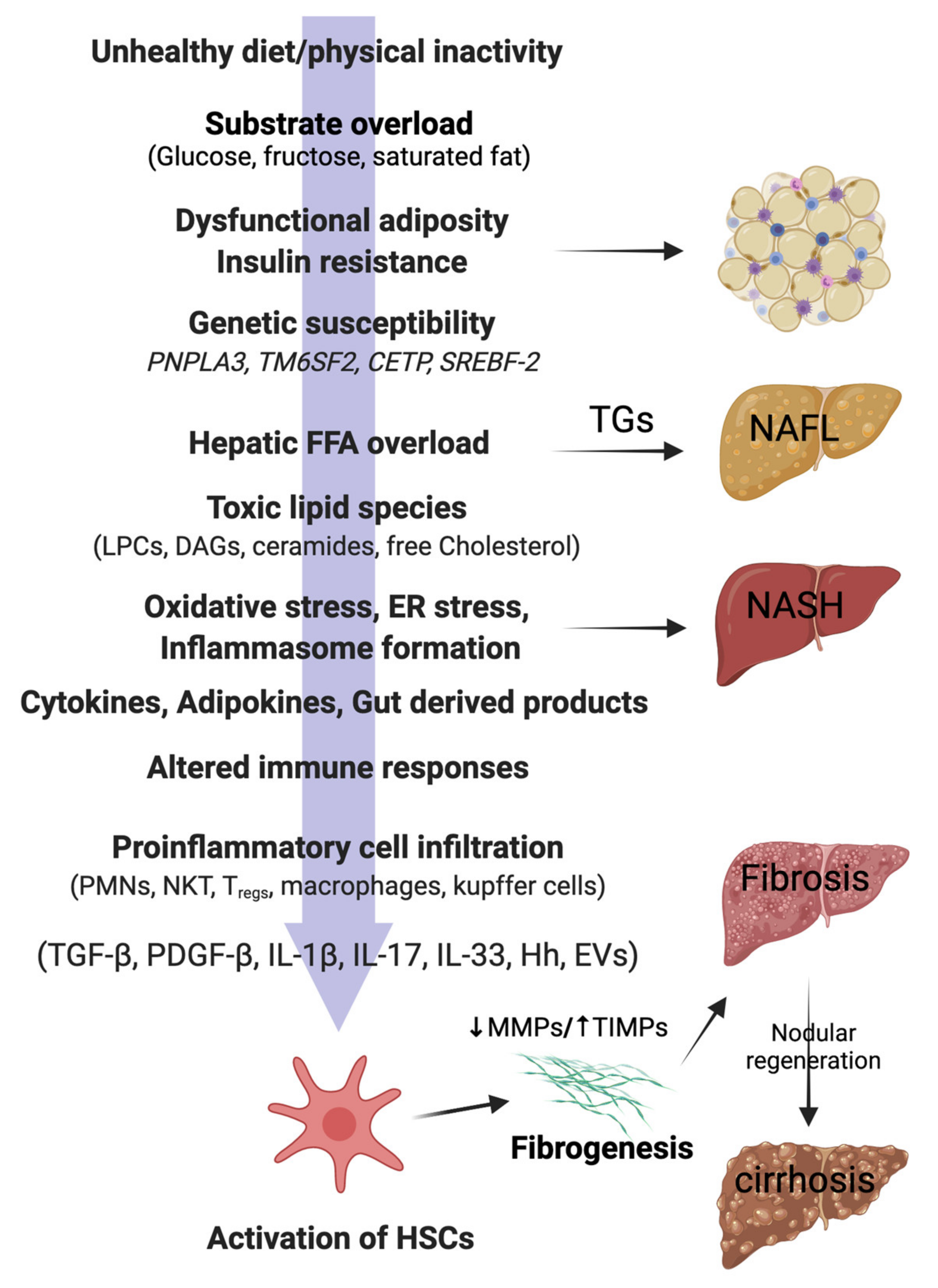 Biomedicines 09 01346 g001 Biomedicines 09 01346 g001