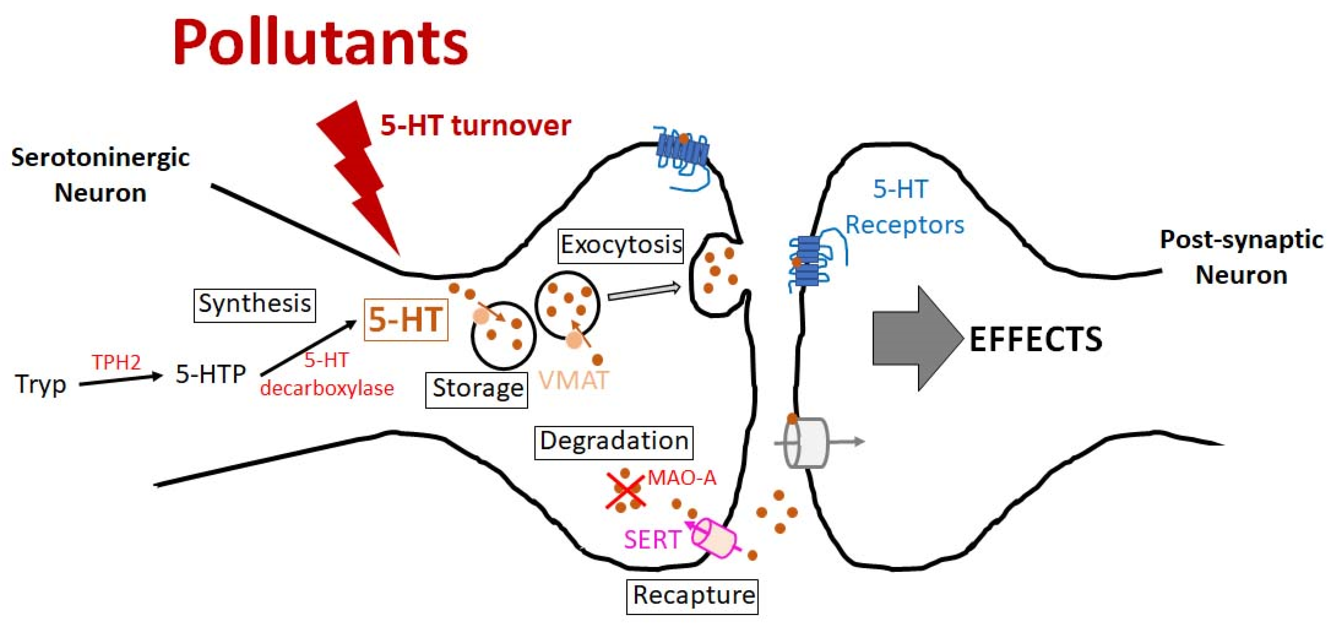 Biomedicines 09 01351 g001