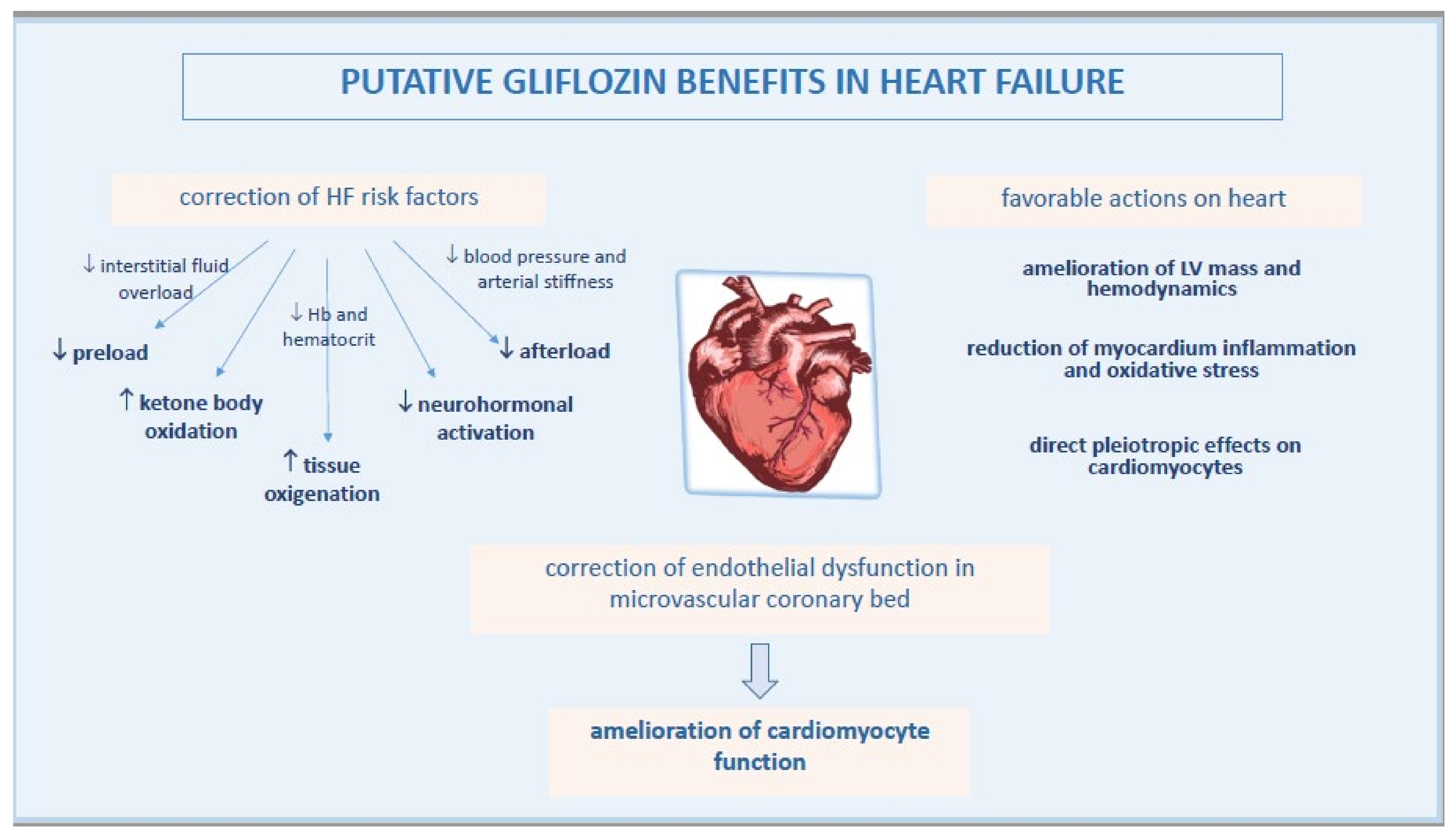 Biomedicines 09 01356 g002 Biomedicines 09 01356 g002