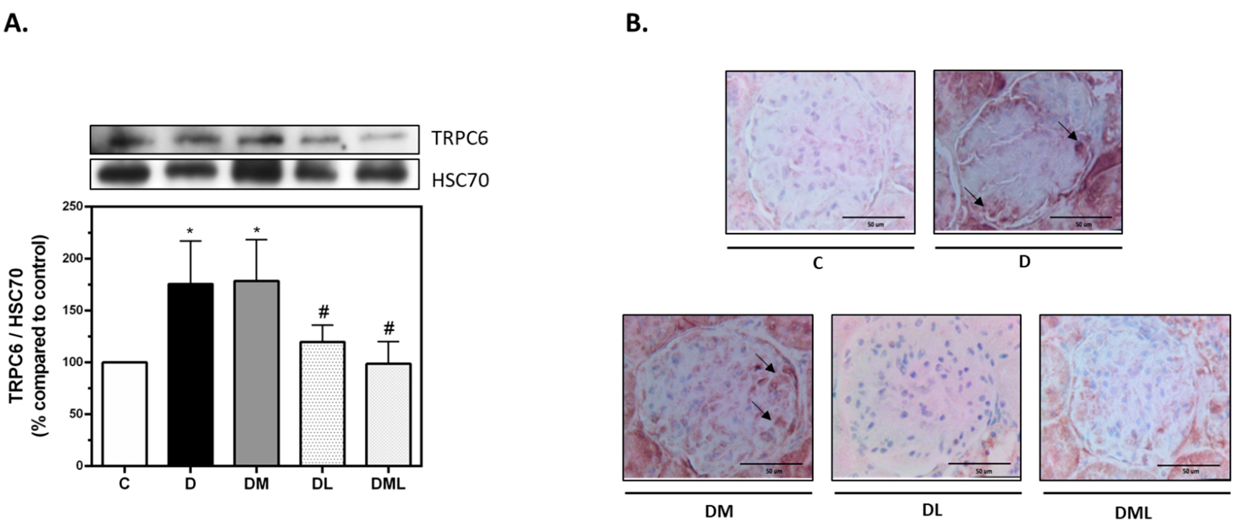 Biomedicines 09 01360 g004 550