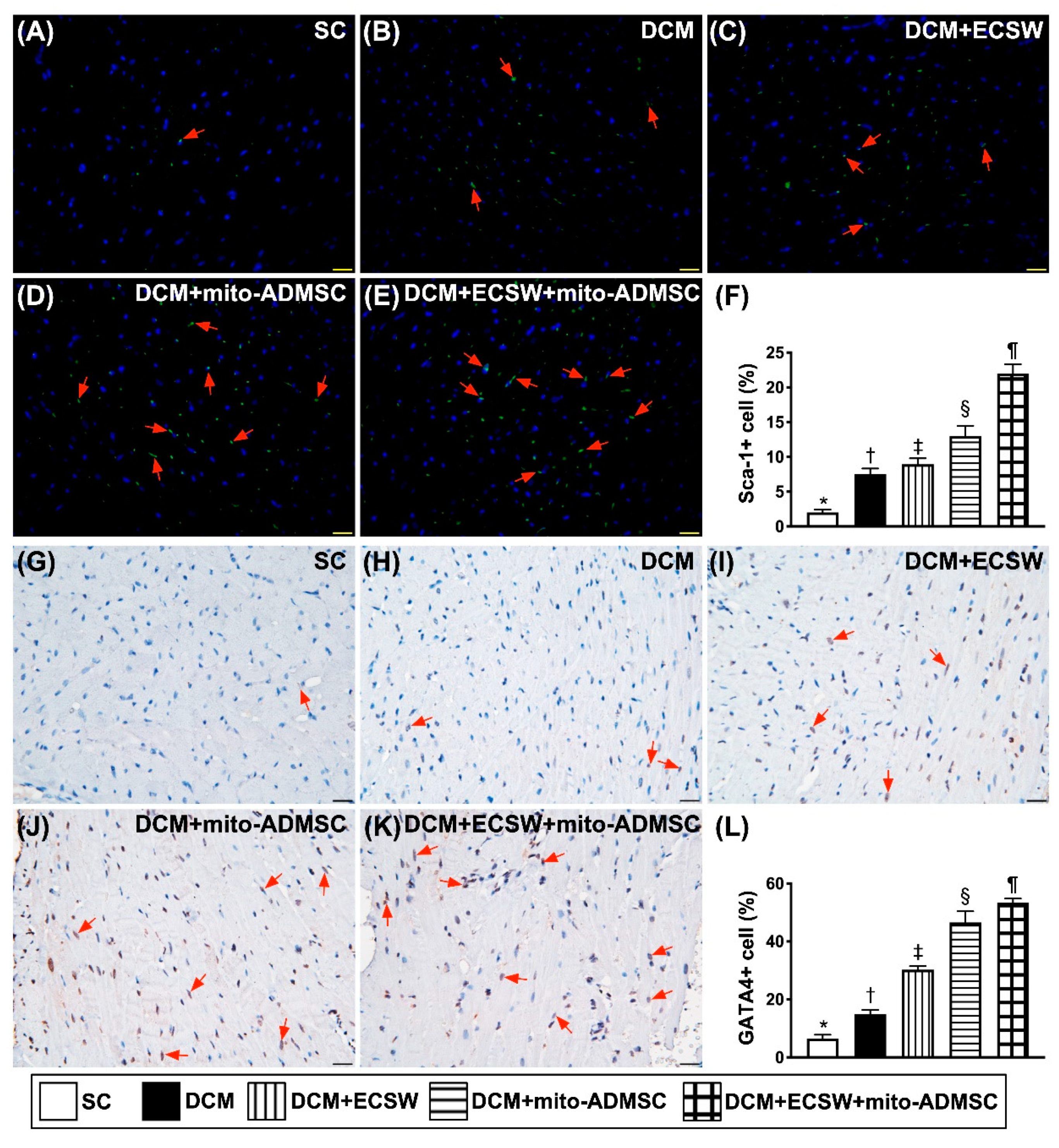 Biomedicines 09 01362 g005