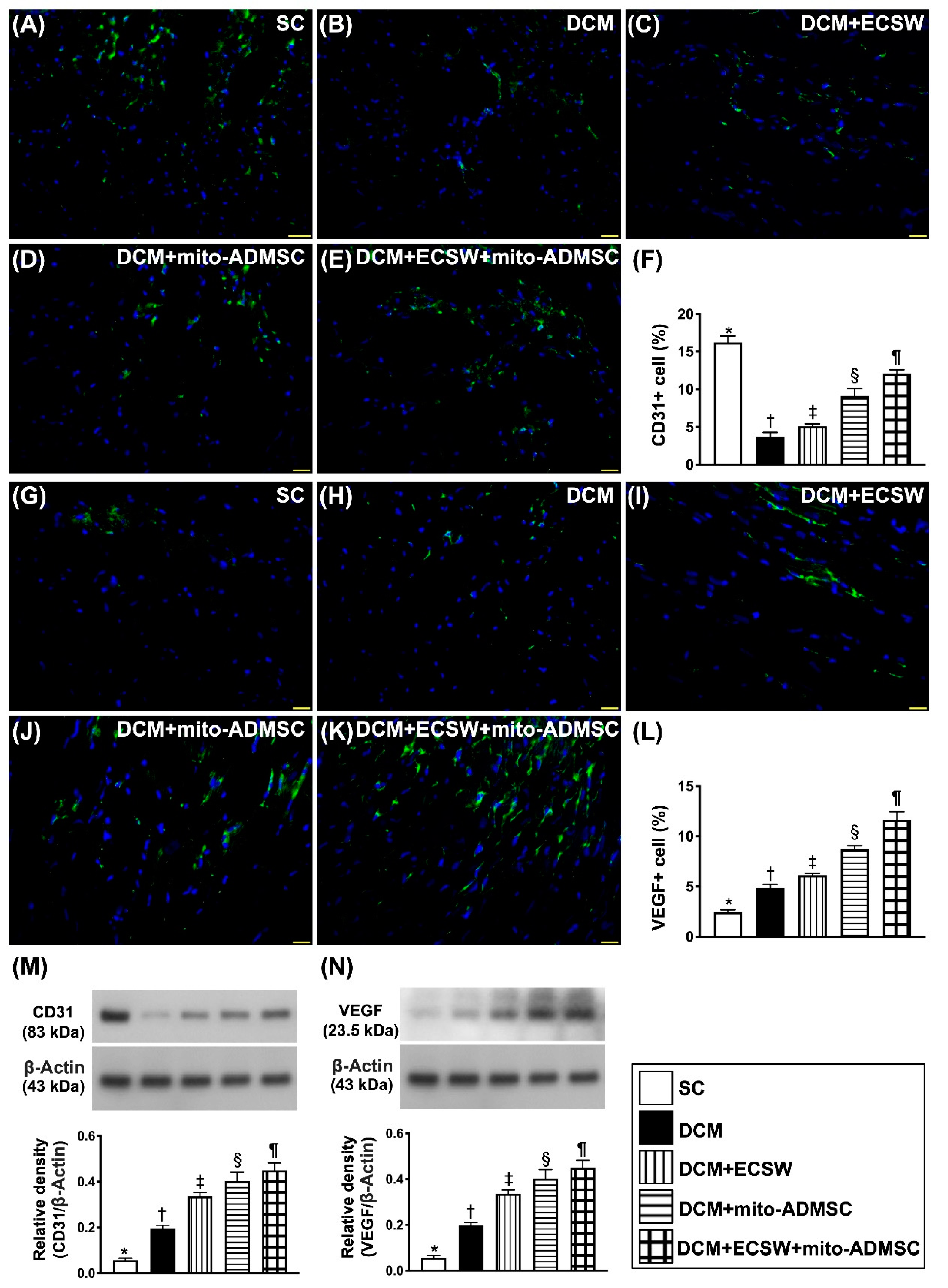 Biomedicines 09 01362 g008