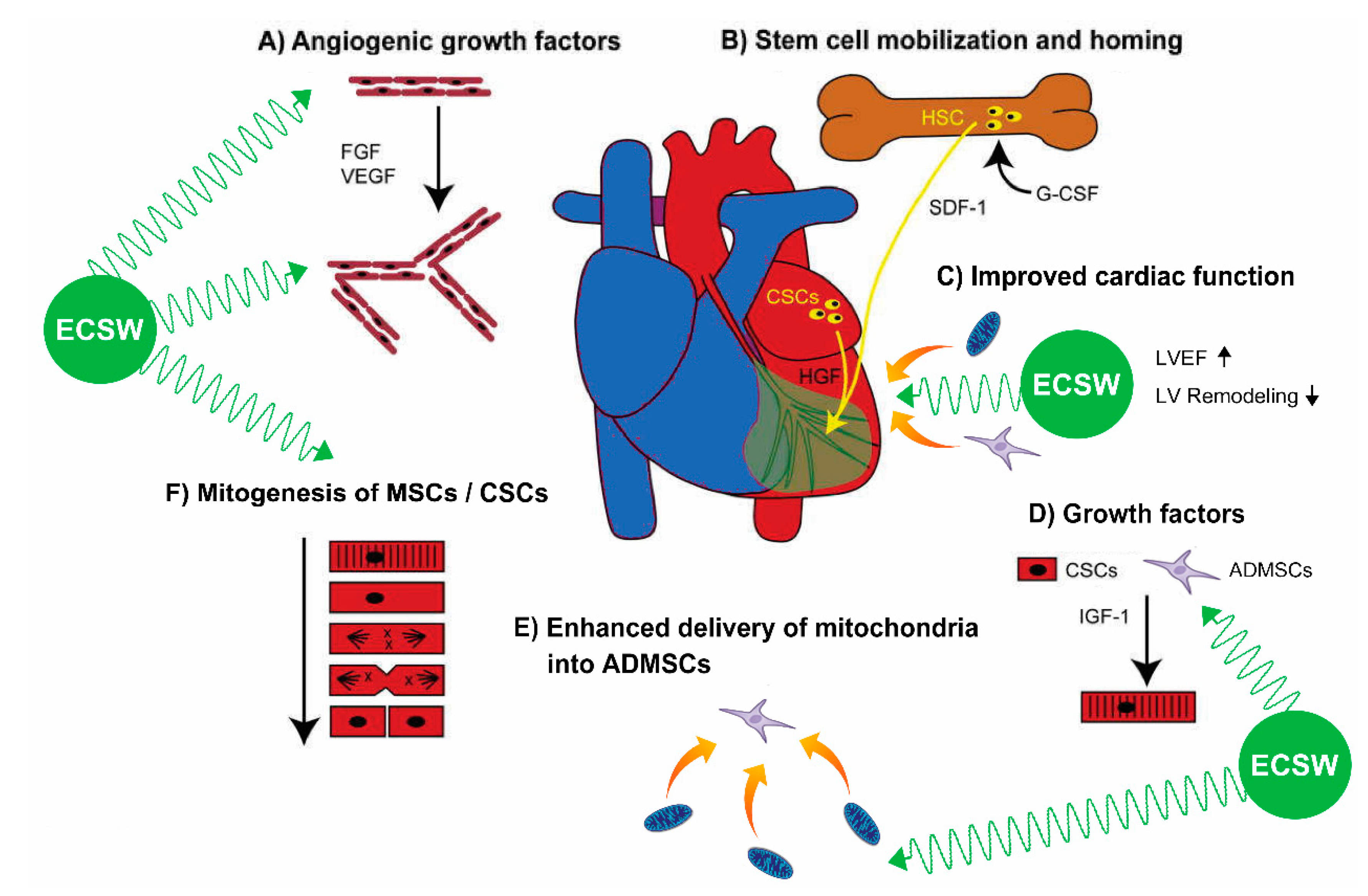Biomedicines 09 01362 g011