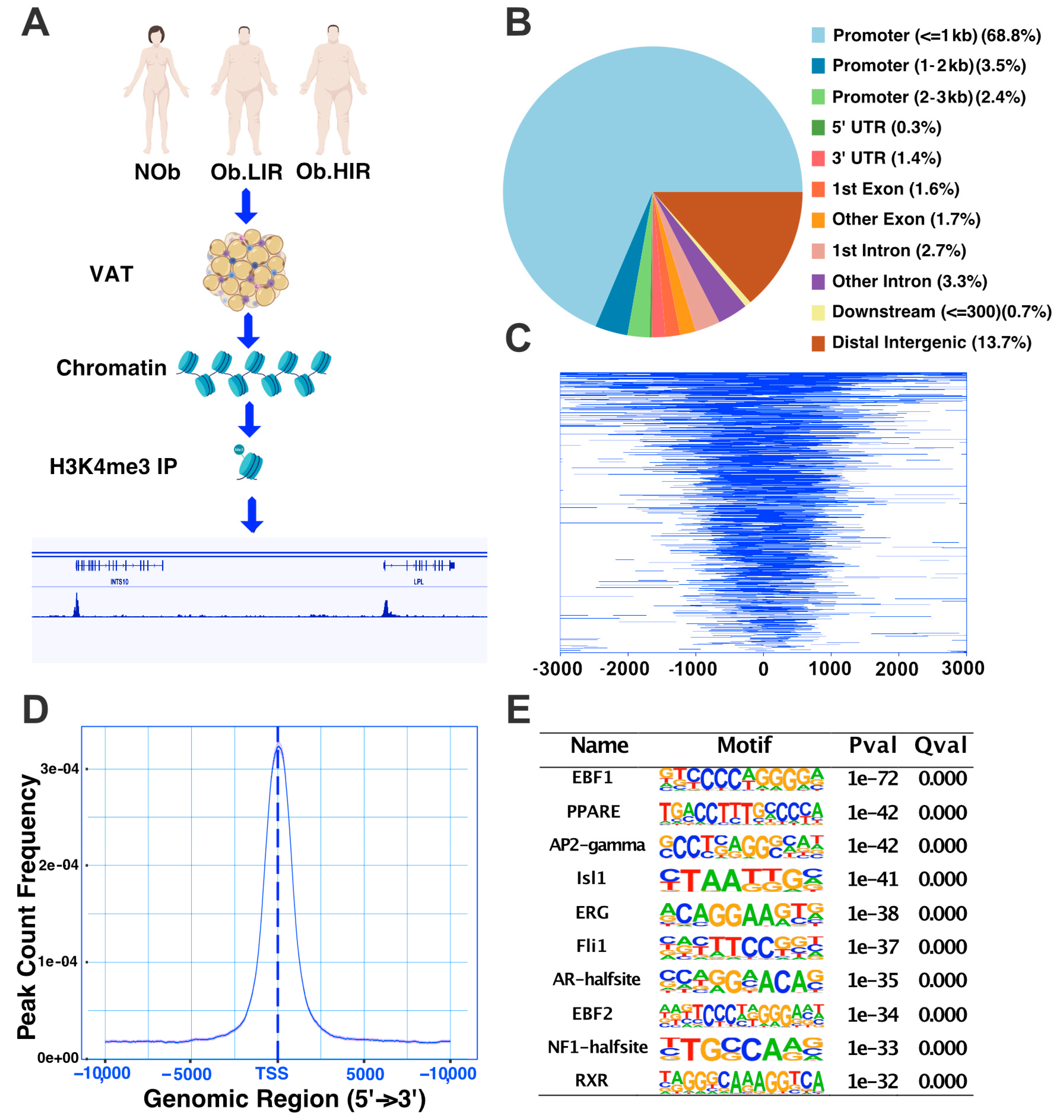 Biomedicines 09 01363 g001 550