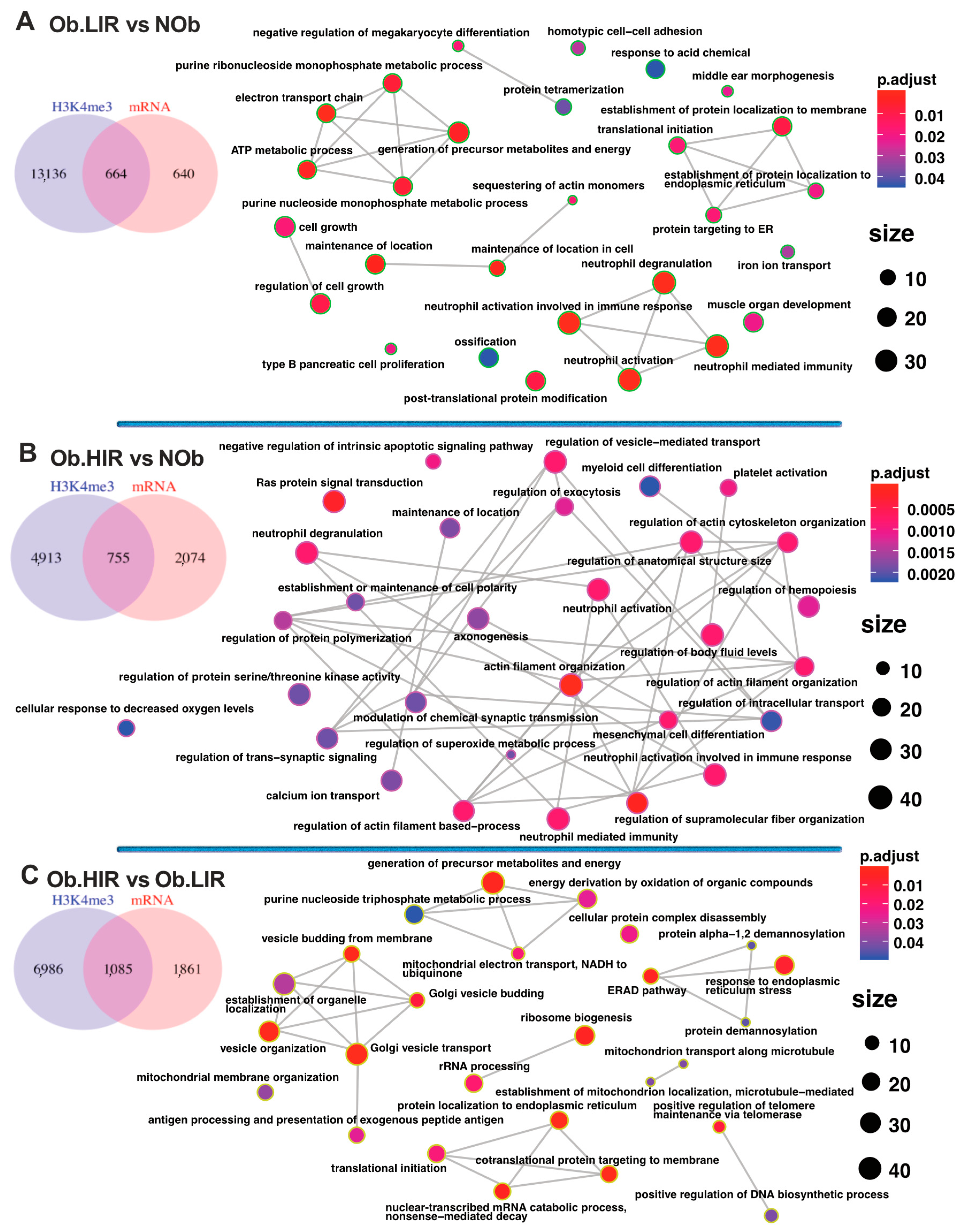 Biomedicines 09 01363 g003 550