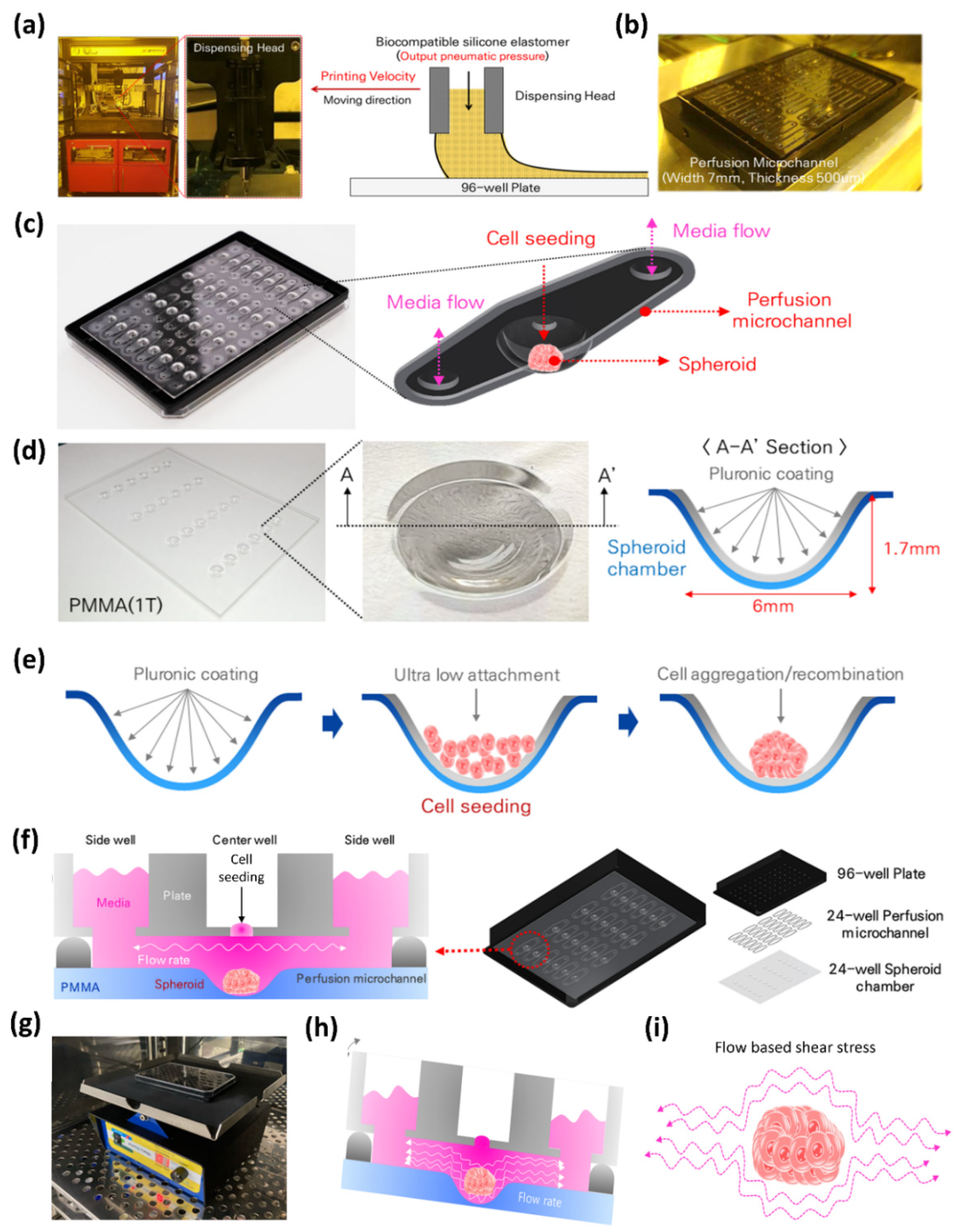 Biomedicines 09 01369 g001