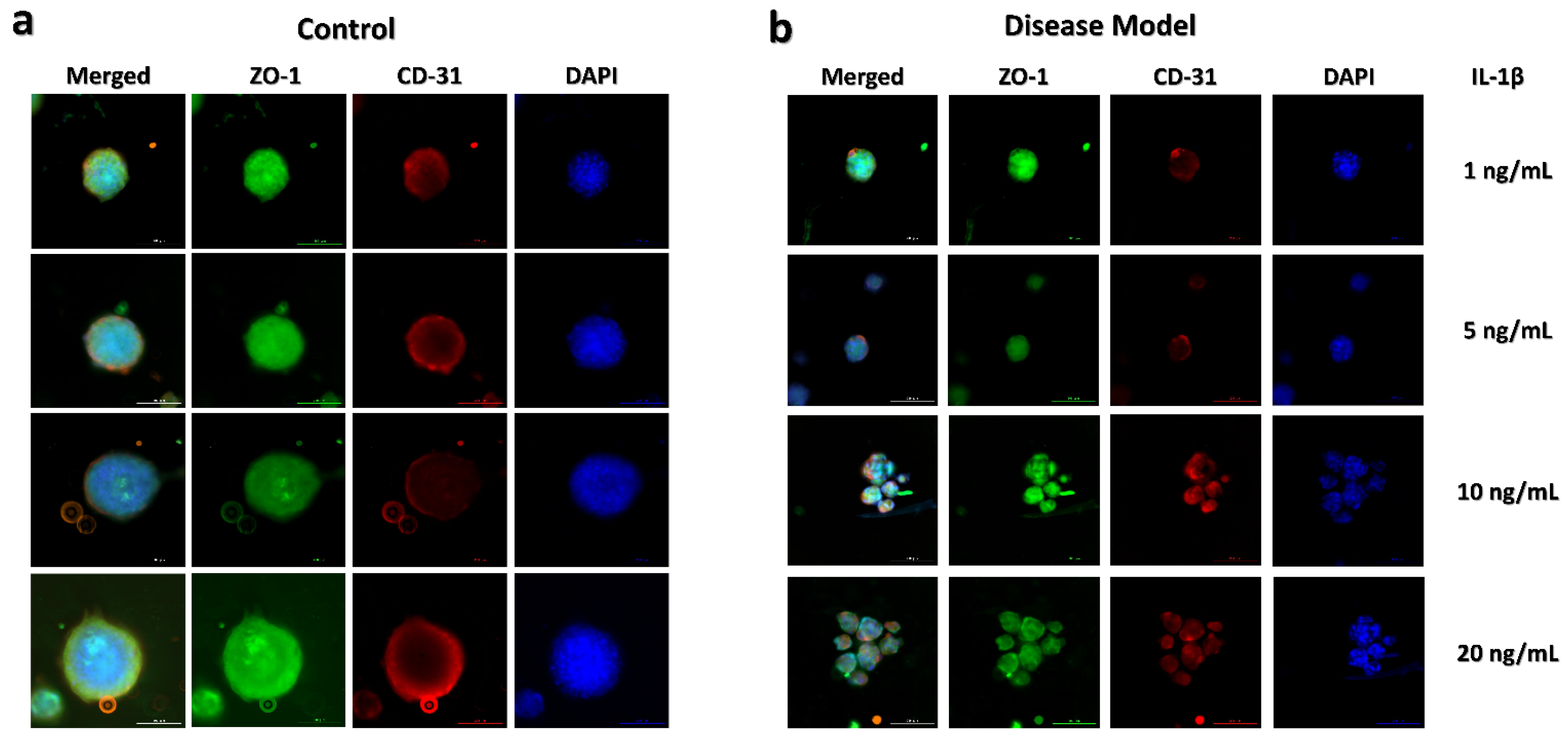 Biomedicines 09 01369 g006