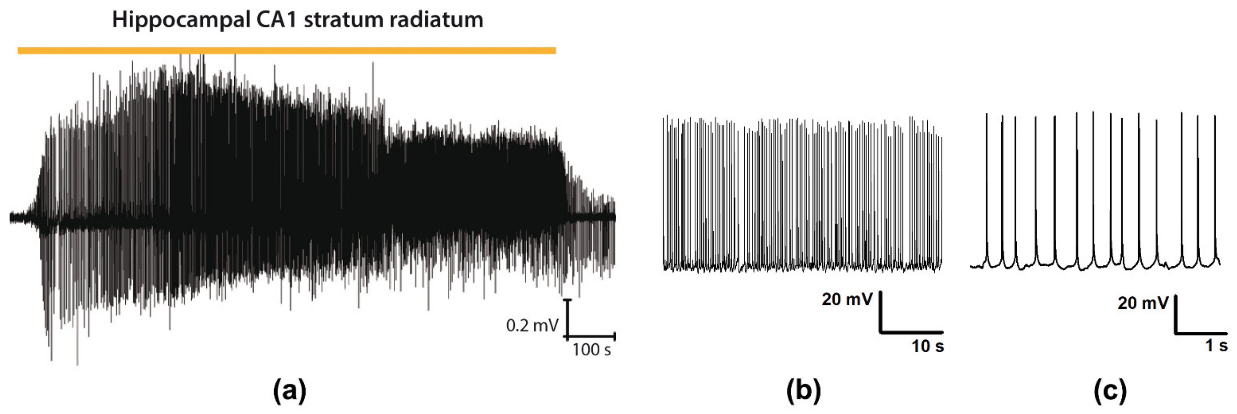 Biomedicines 09 01374 g001 Biomedicines 09 01374 g001