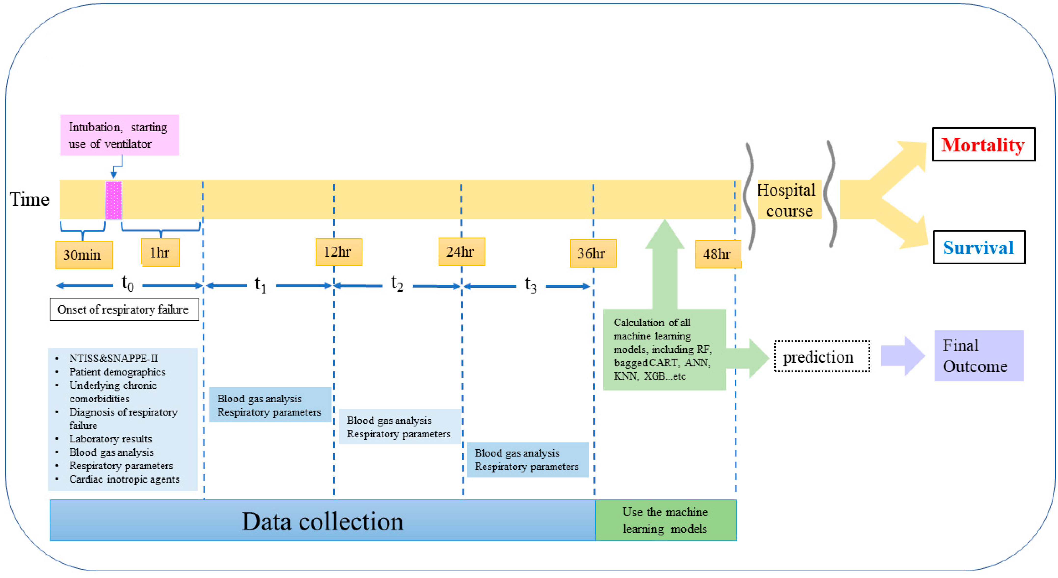 Biomedicines 09 01377 g001 550