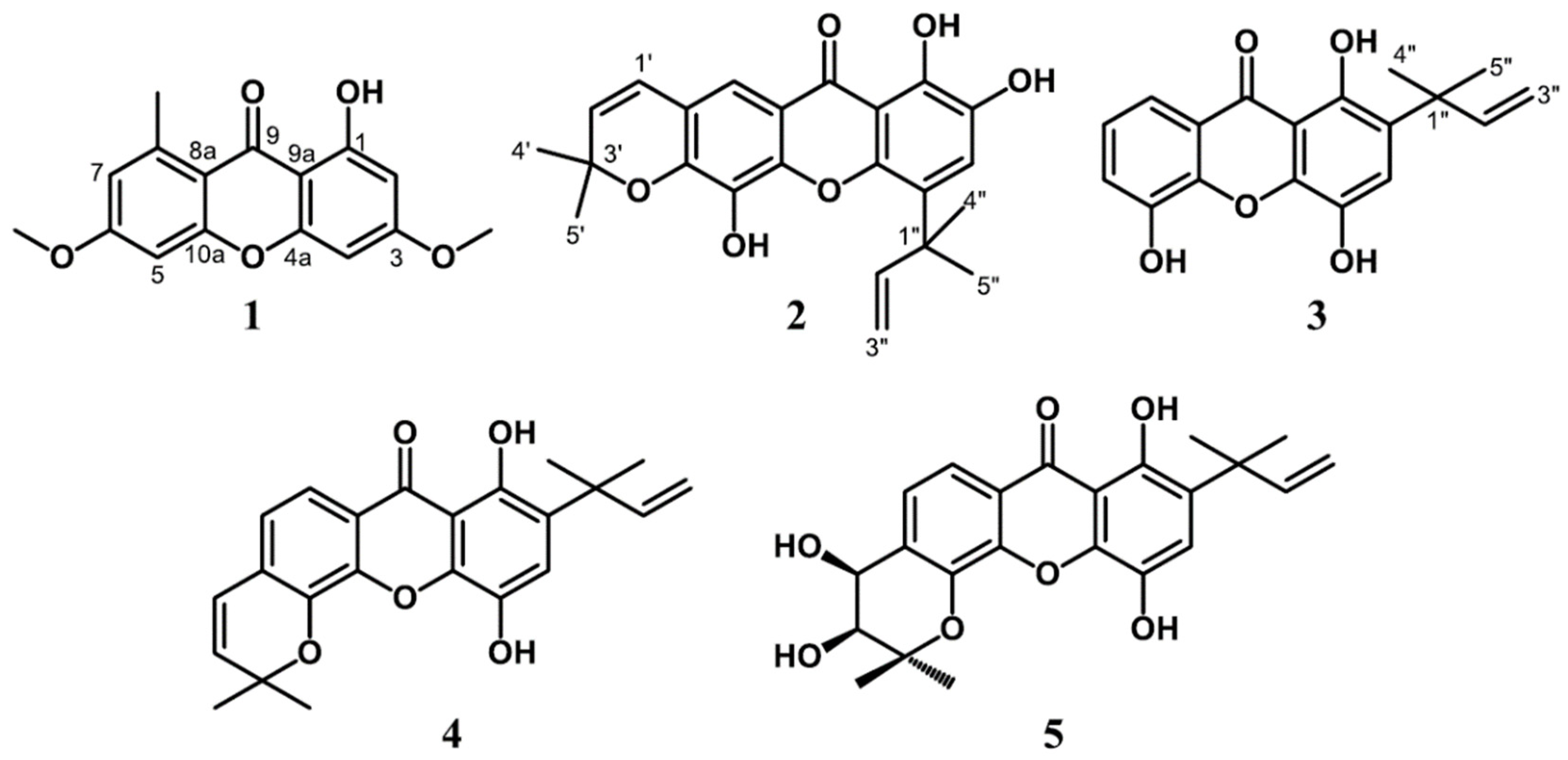 Biomedicines 09 01380 g001