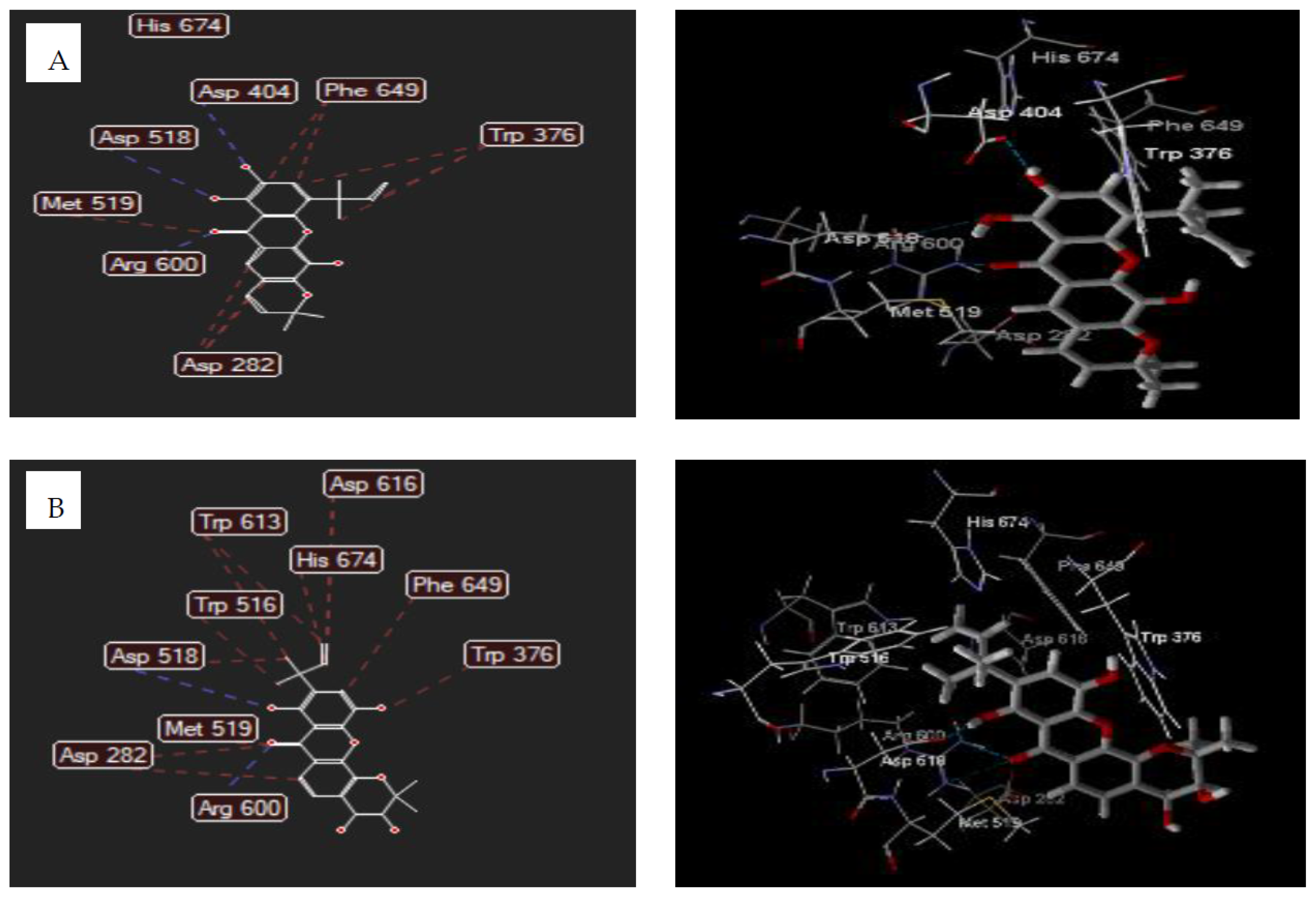 Biomedicines 09 01380 g002
