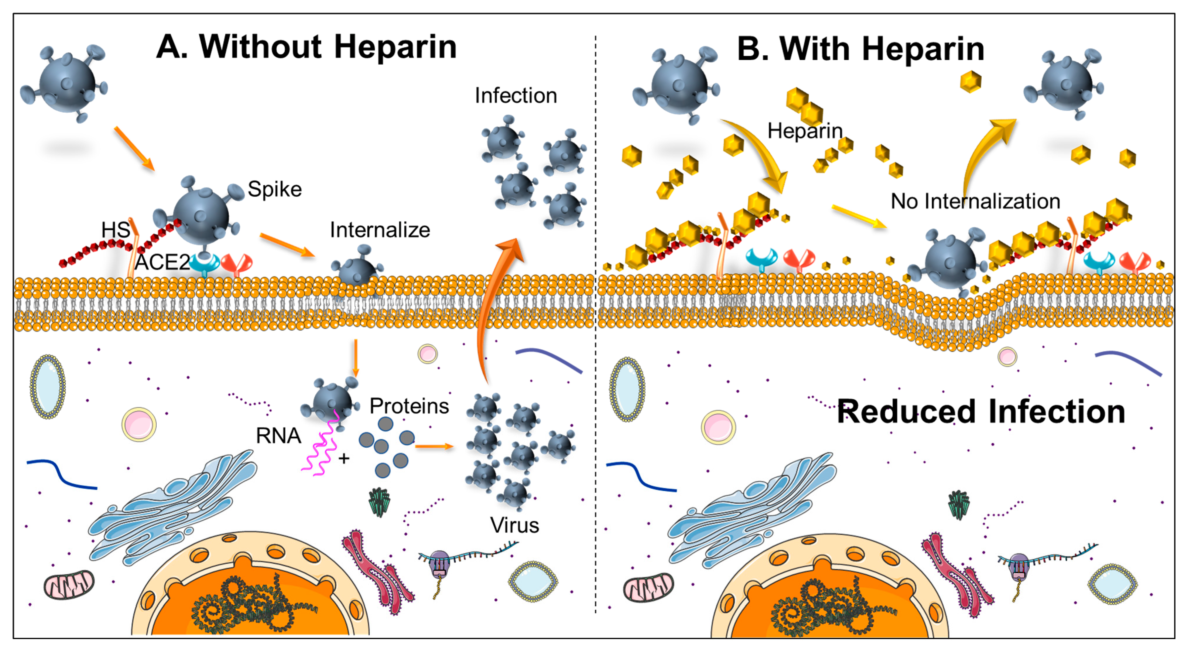 Biomedicines 09 01382 g001