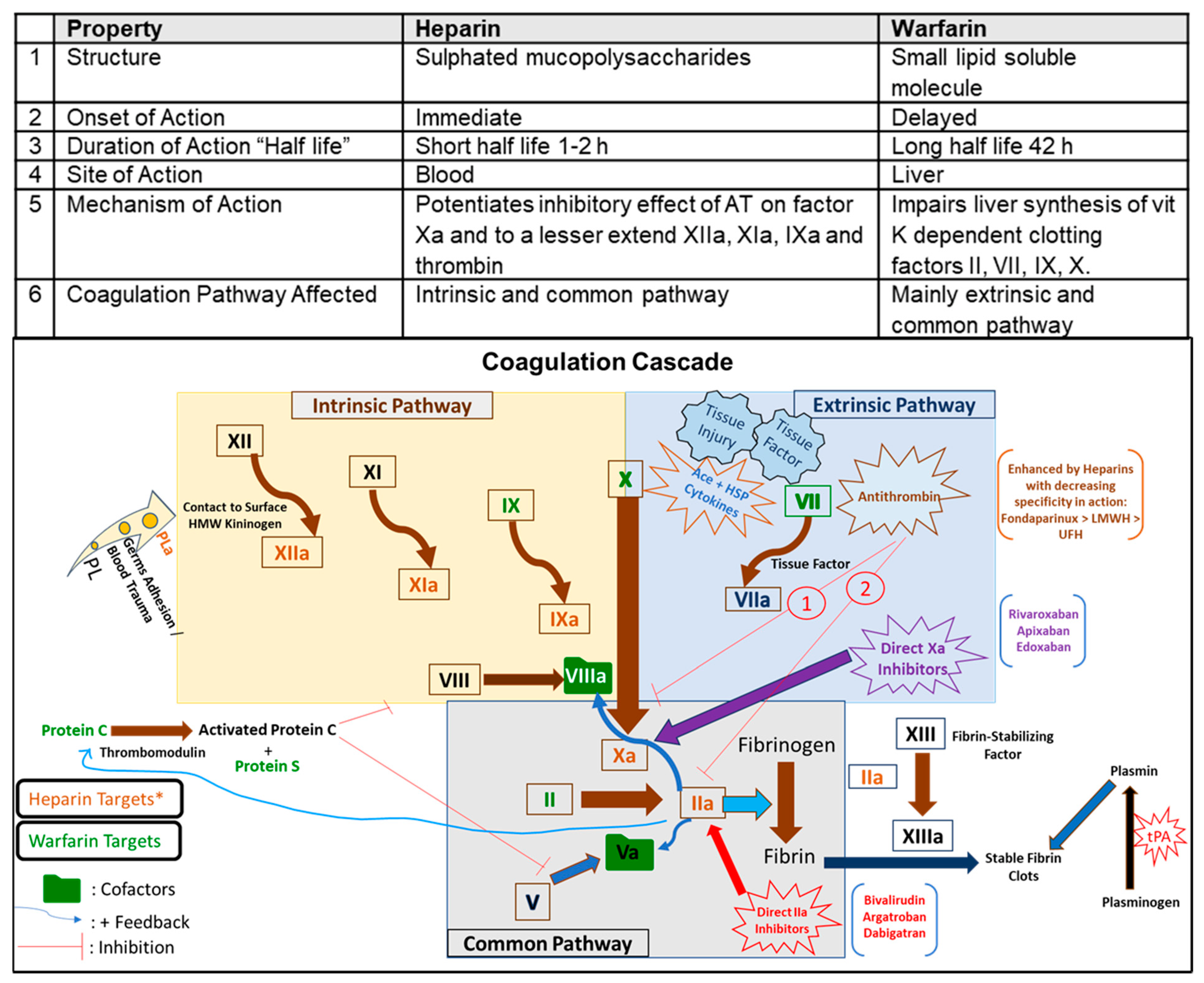 Biomedicines 09 01382 g002