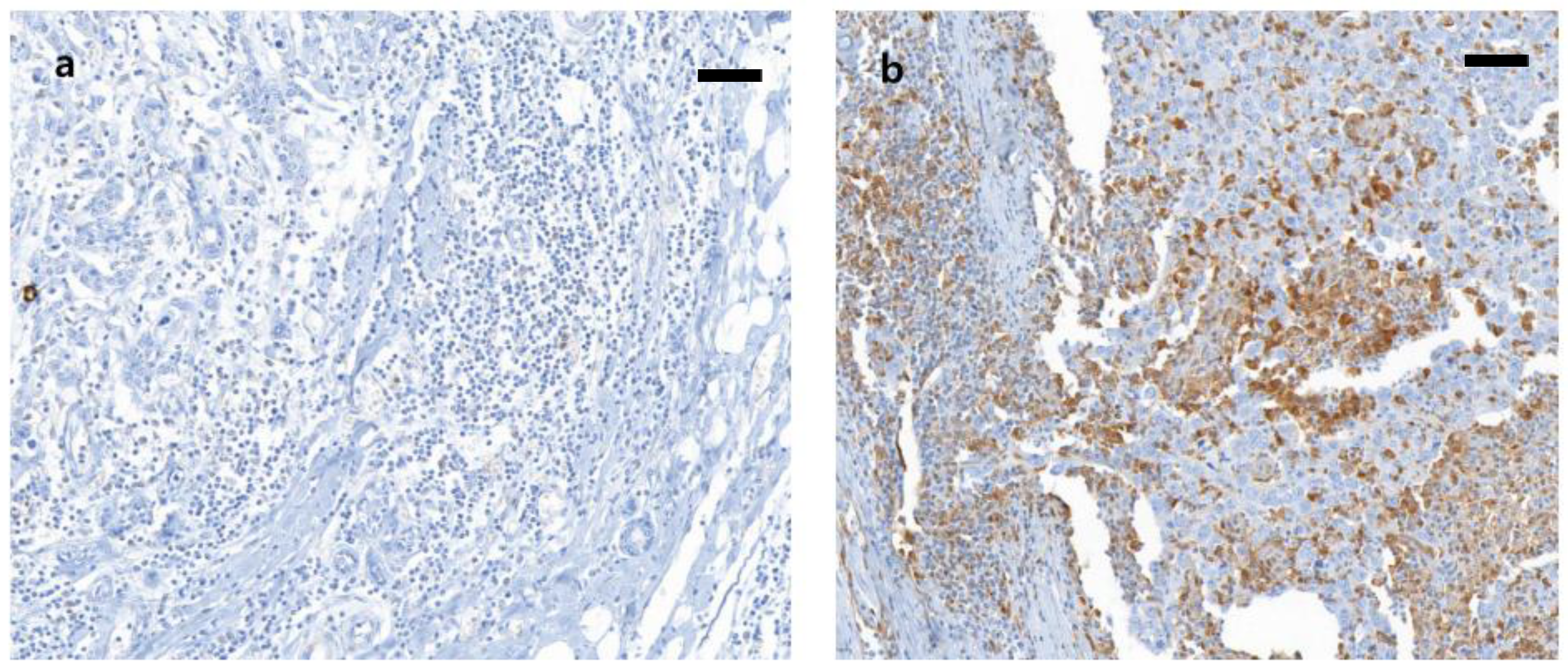 Biomedicines 09 01383 g001 Biomedicines 09 01383 g001