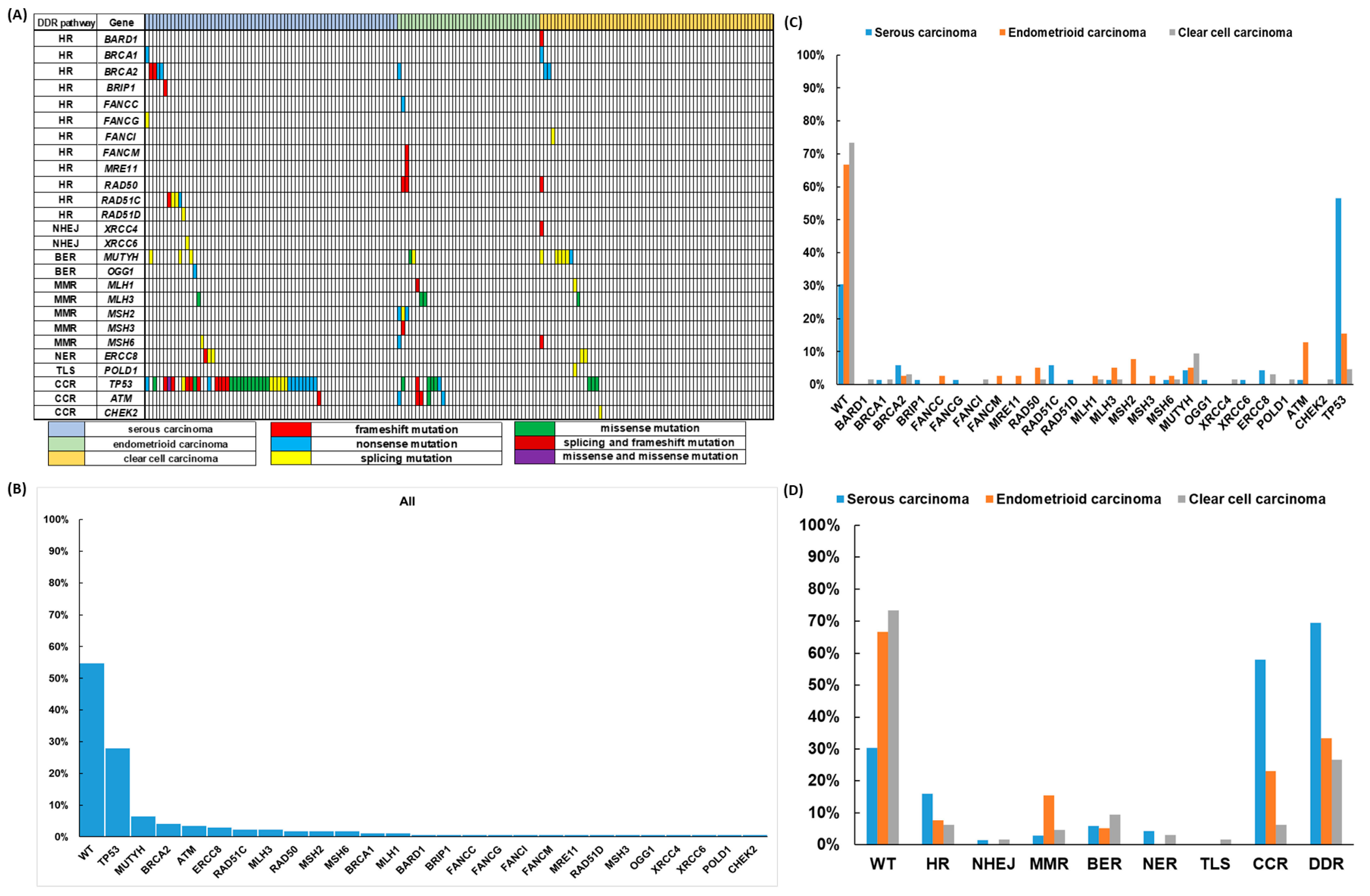 Biomedicines 09 01384 g001 Biomedicines 09 01384 g001
