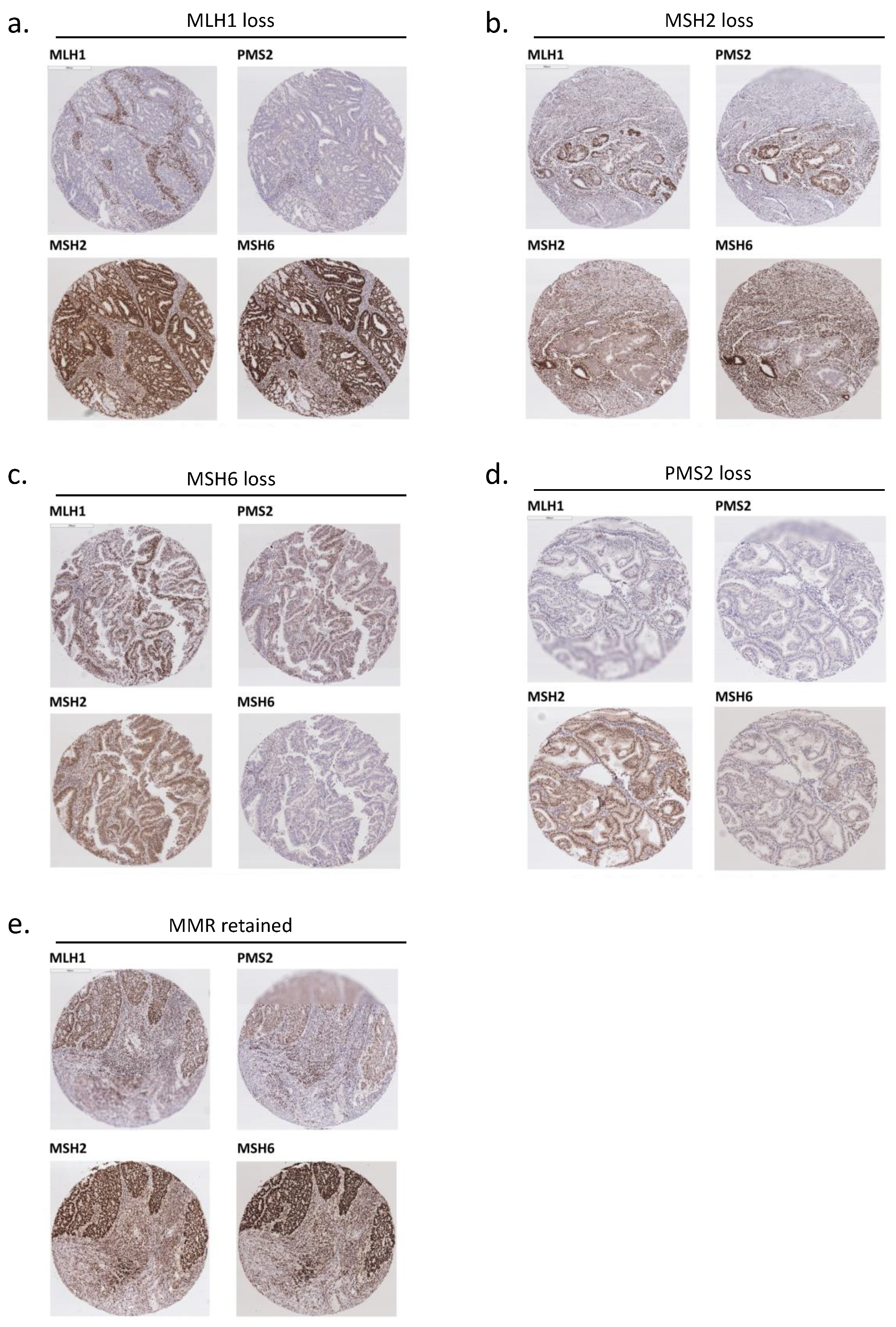Biomedicines 09 01385 g001