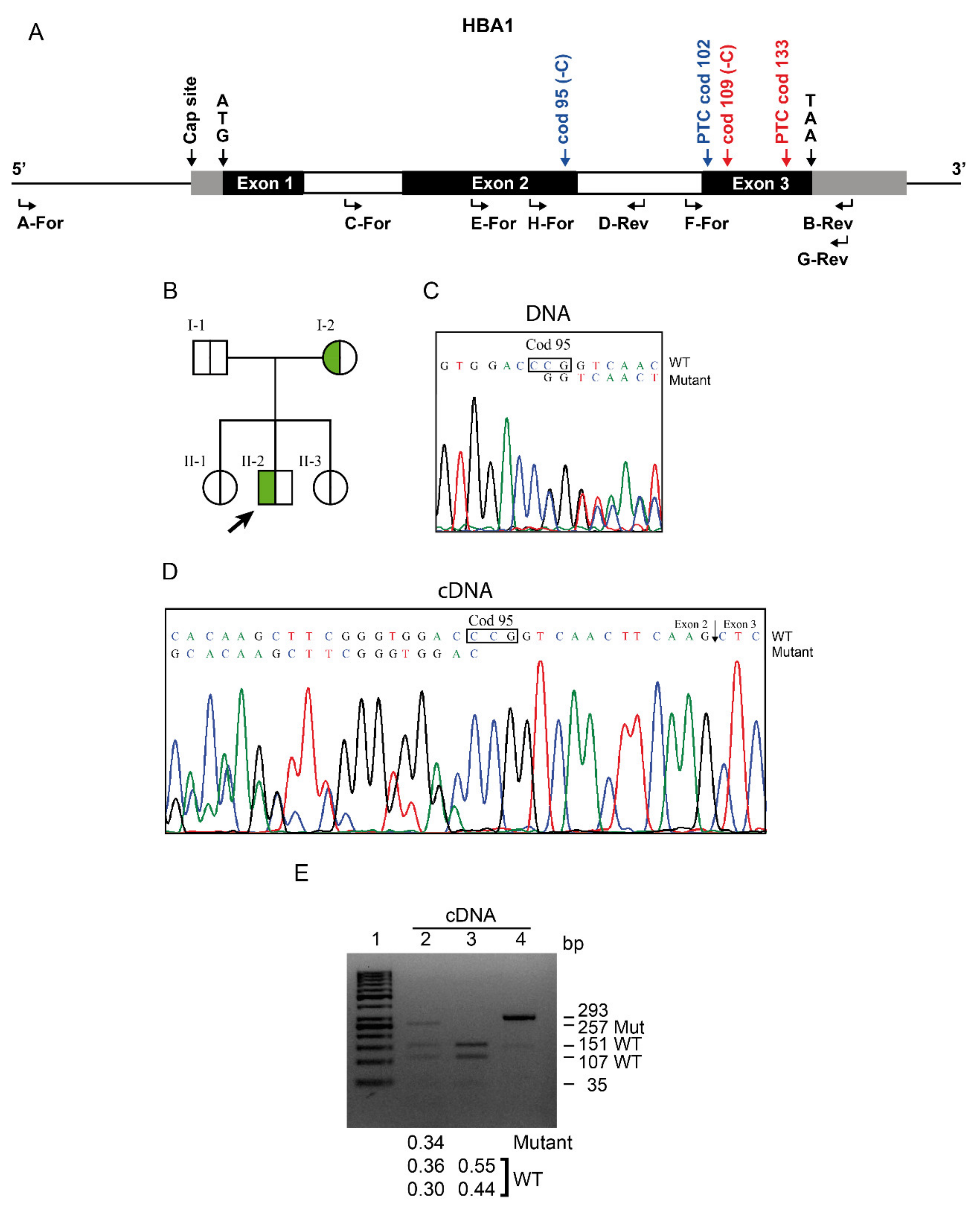 Biomedicines 09 01390 g001 550
