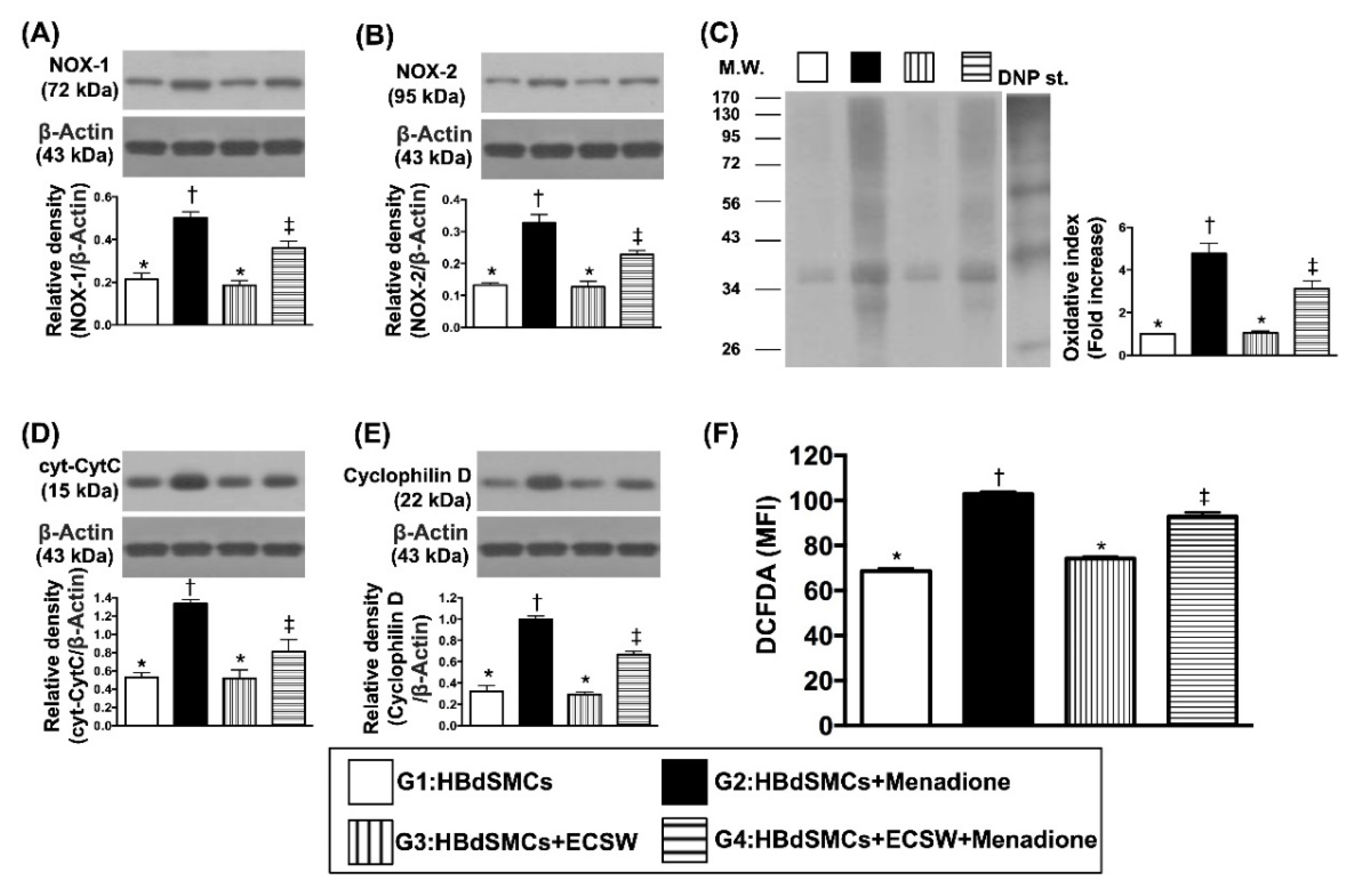 Biomedicines 09 01391 g001