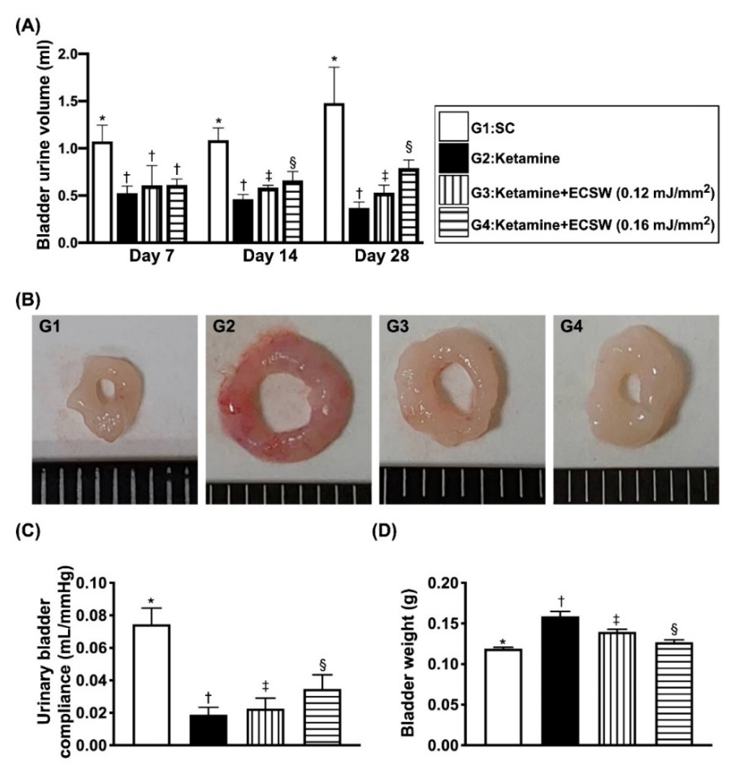Biomedicines 09 01391 g006