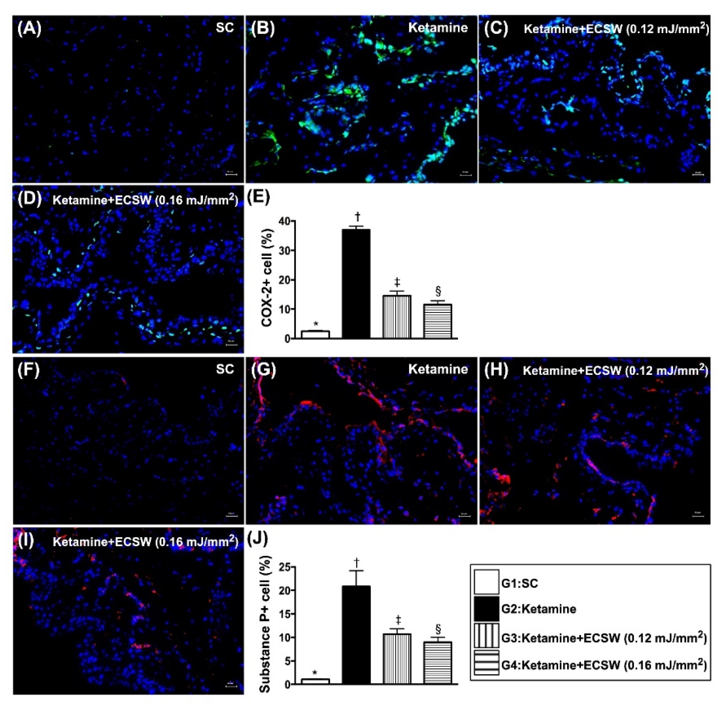 Biomedicines 09 01391 g007