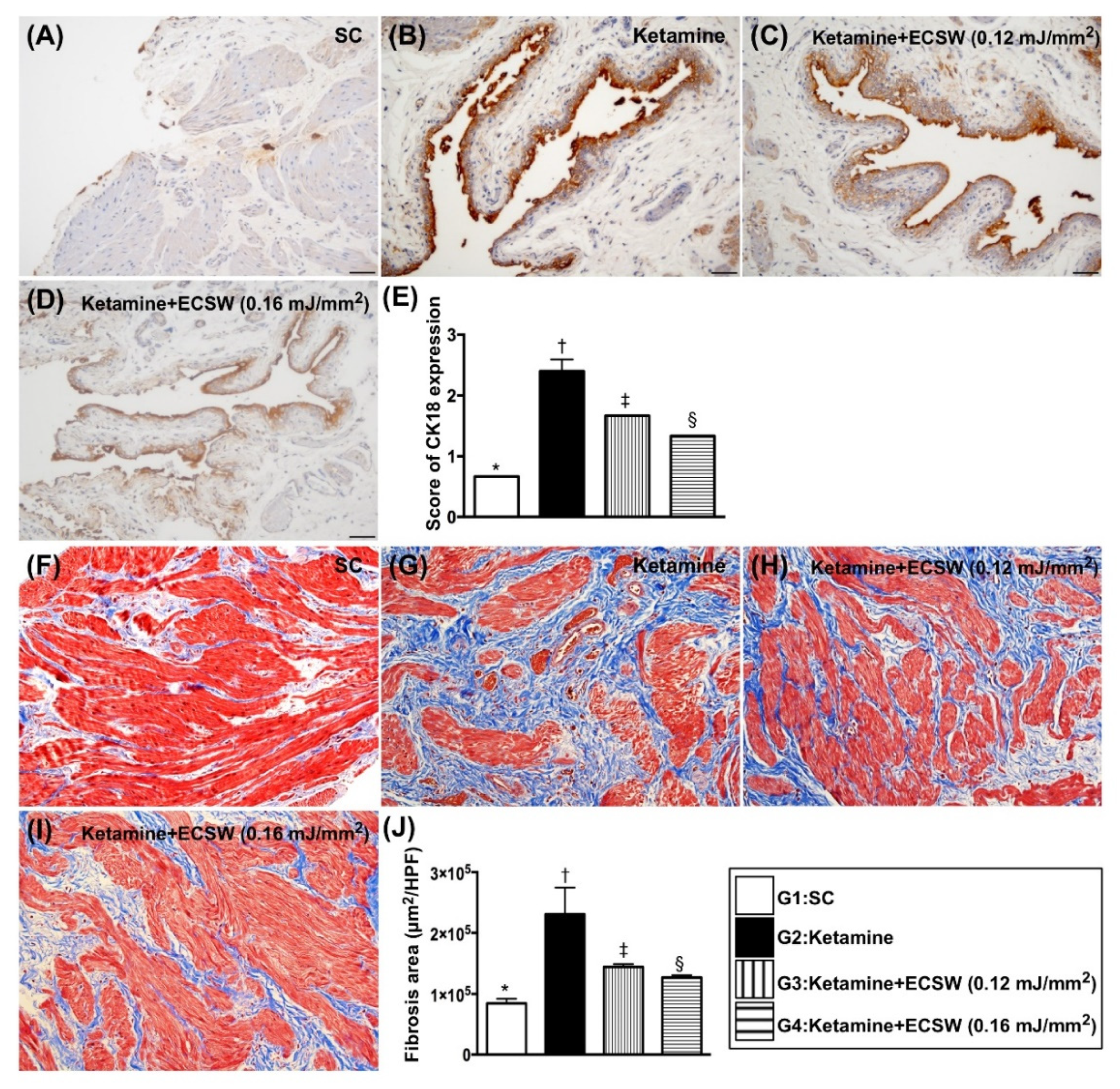 Biomedicines 09 01391 g008