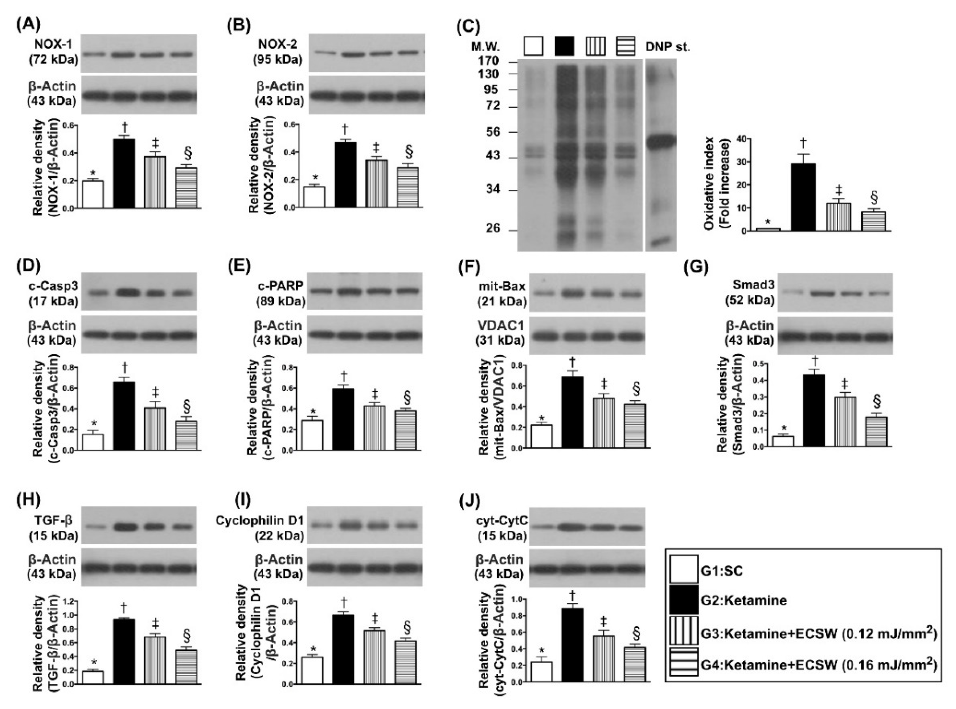 Biomedicines 09 01391 g009