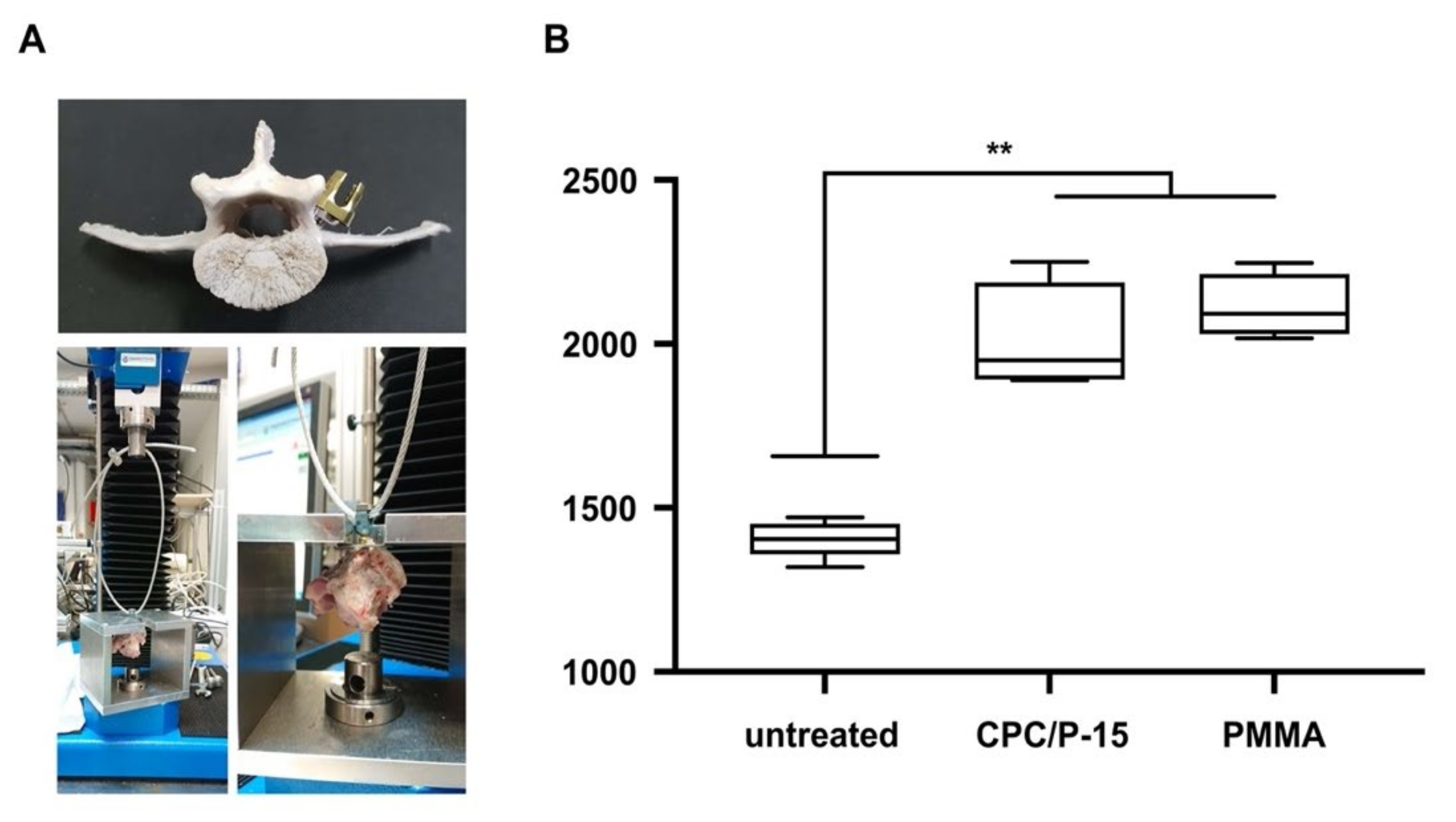 Biomedicines 09 01392 g003 Biomedicines 09 01392 g003