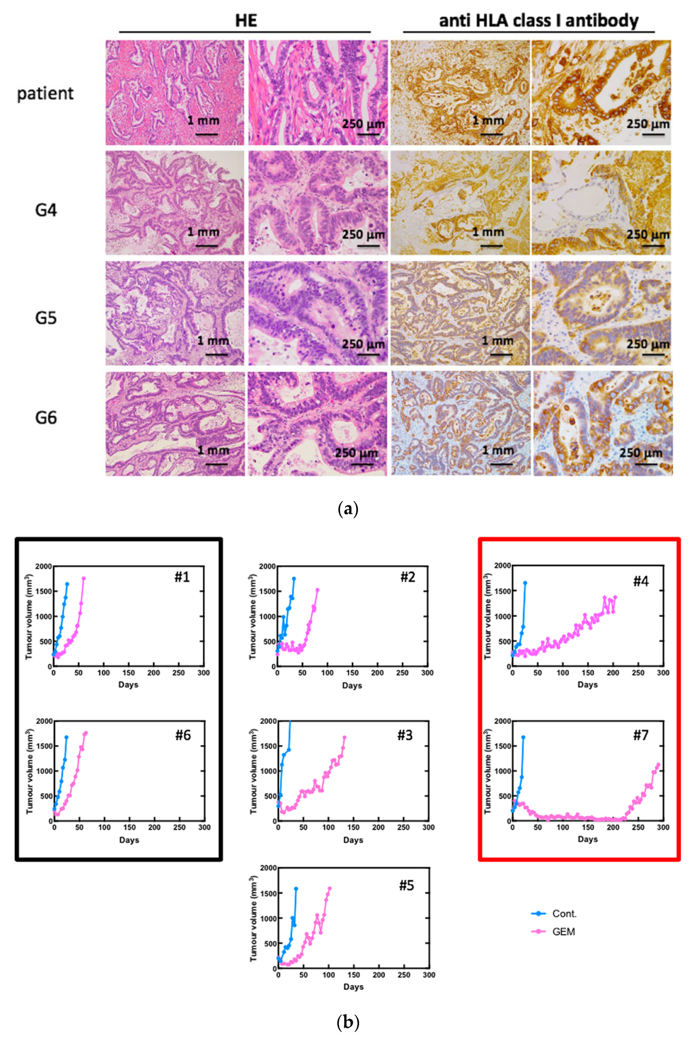 Biomedicines 09 01396 g001 550