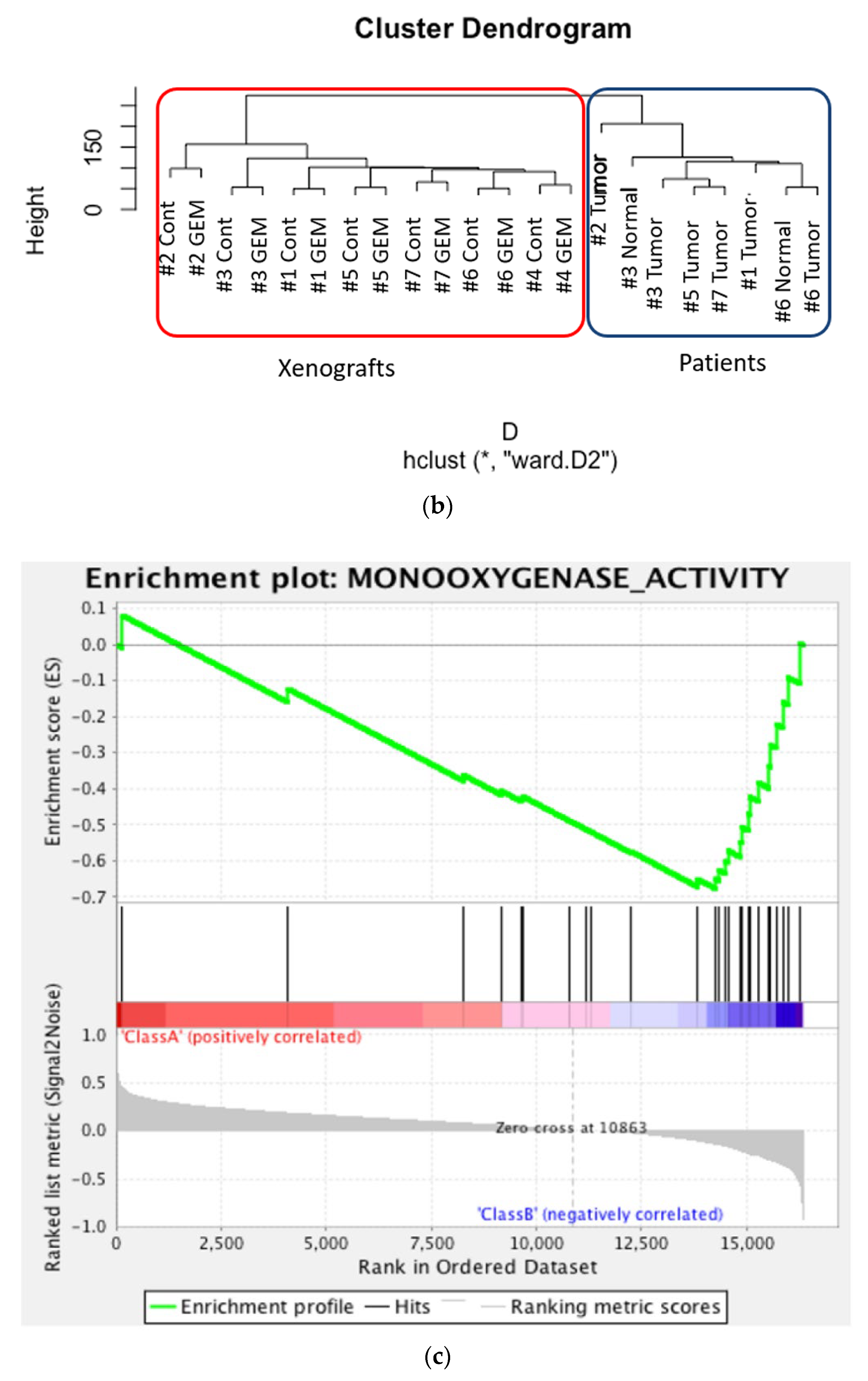 Biomedicines 09 01396 g002b 550