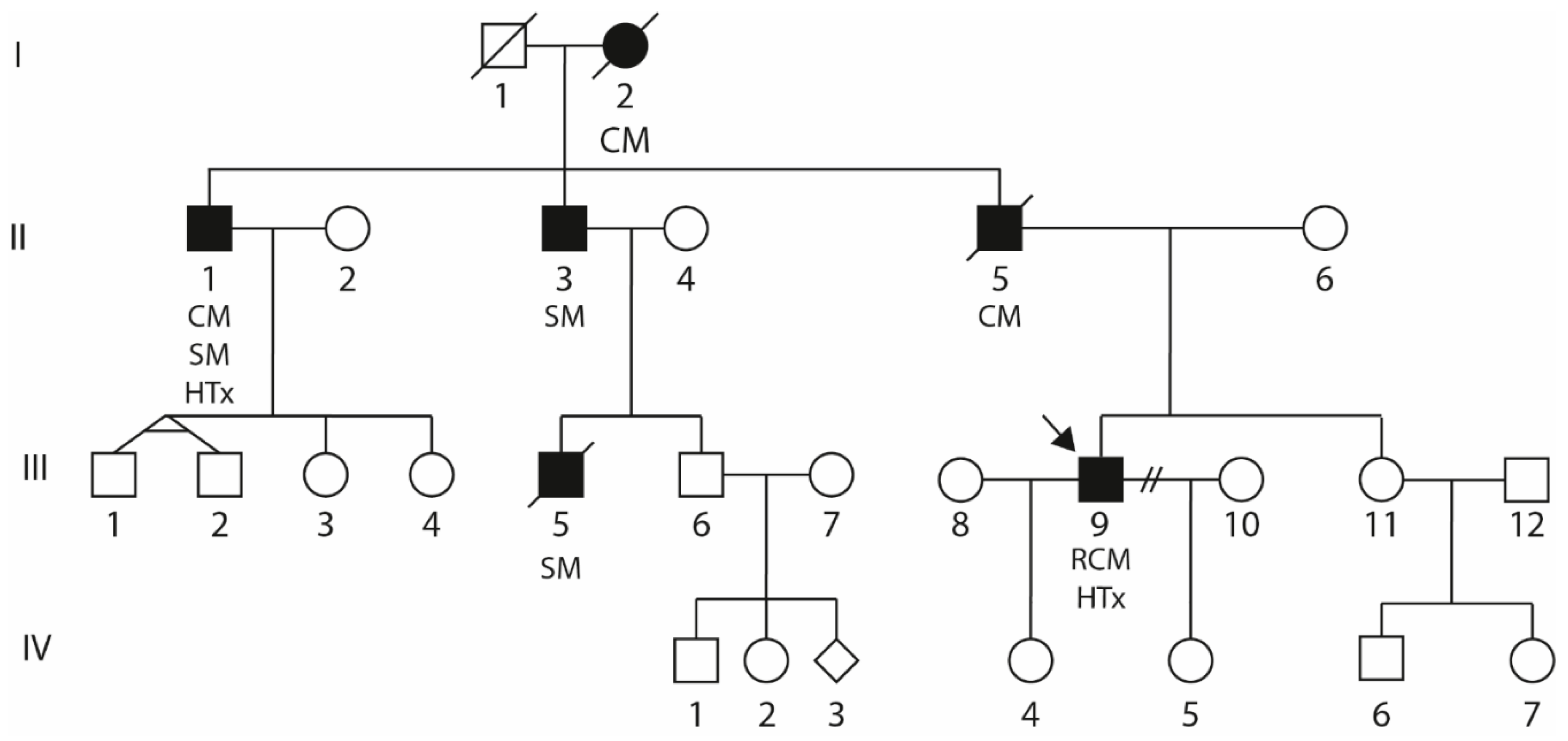 Biomedicines 09 01400 g002