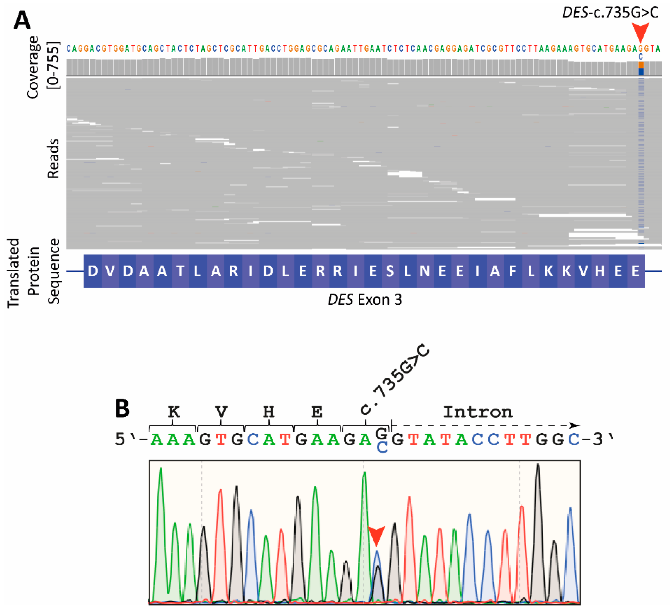Biomedicines 09 01400 g003