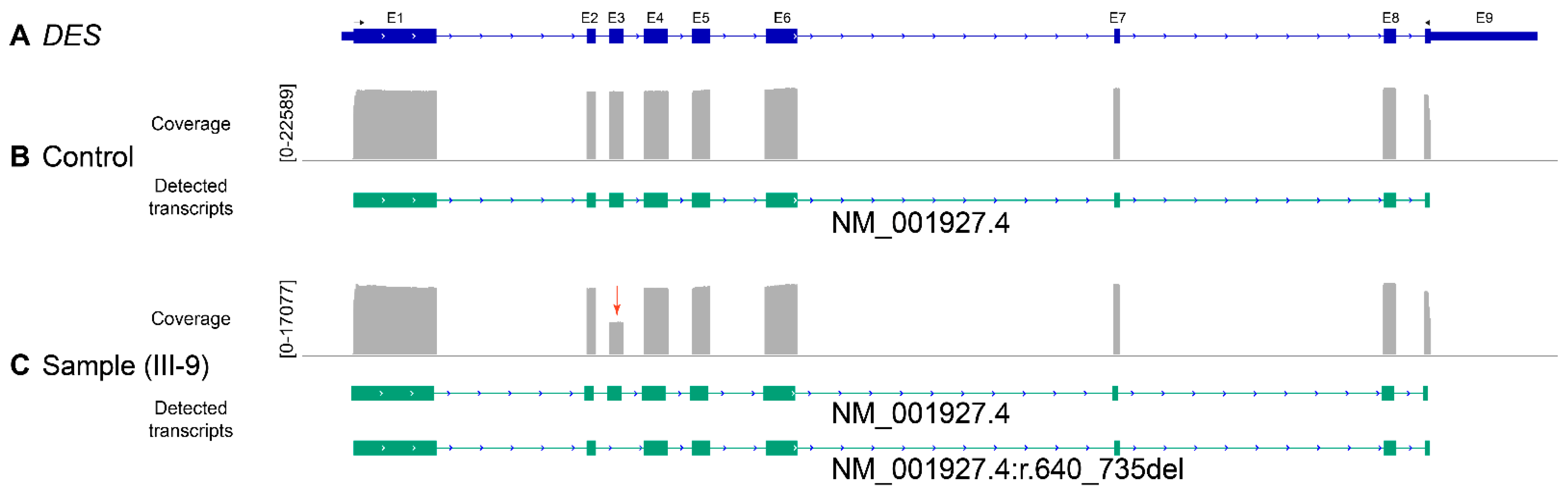 Biomedicines 09 01400 g004