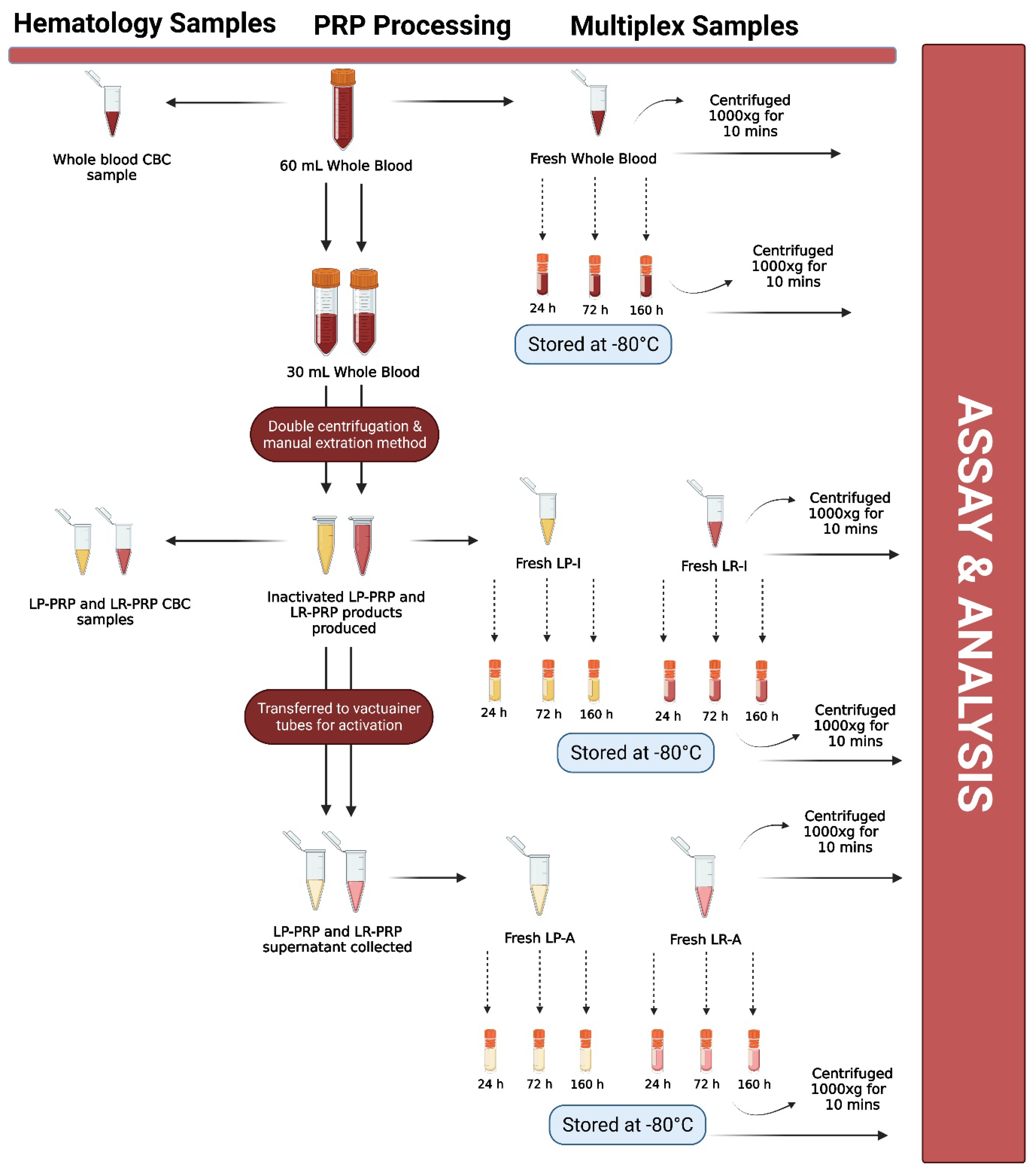 Biomedicines Free FullText The Effect of a Single FreezeThaw Cycle on Matrix