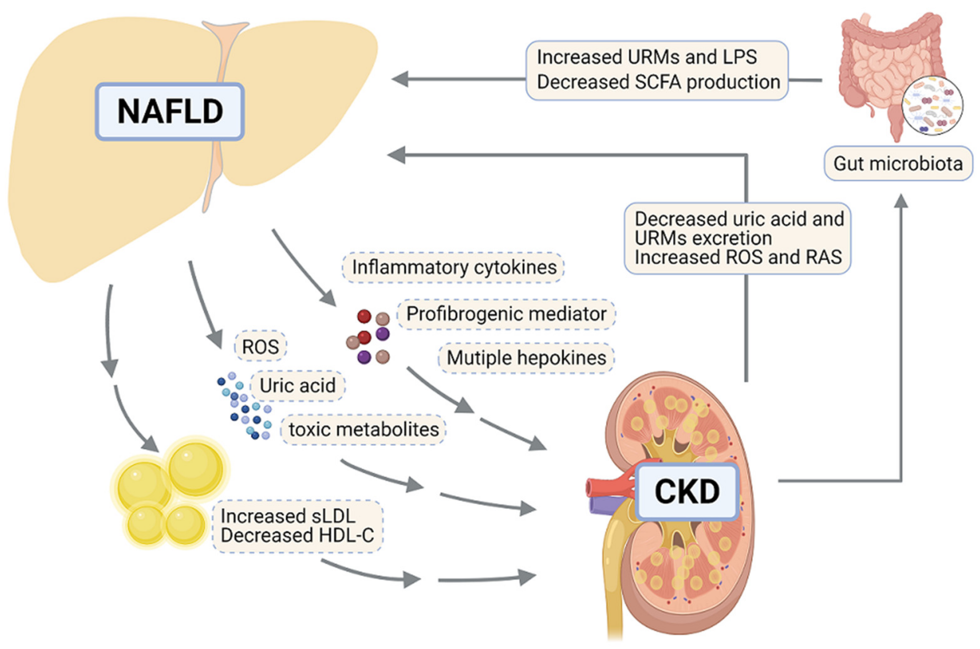 Biomedicines 09 01405 g002 Biomedicines 09 01405 g002