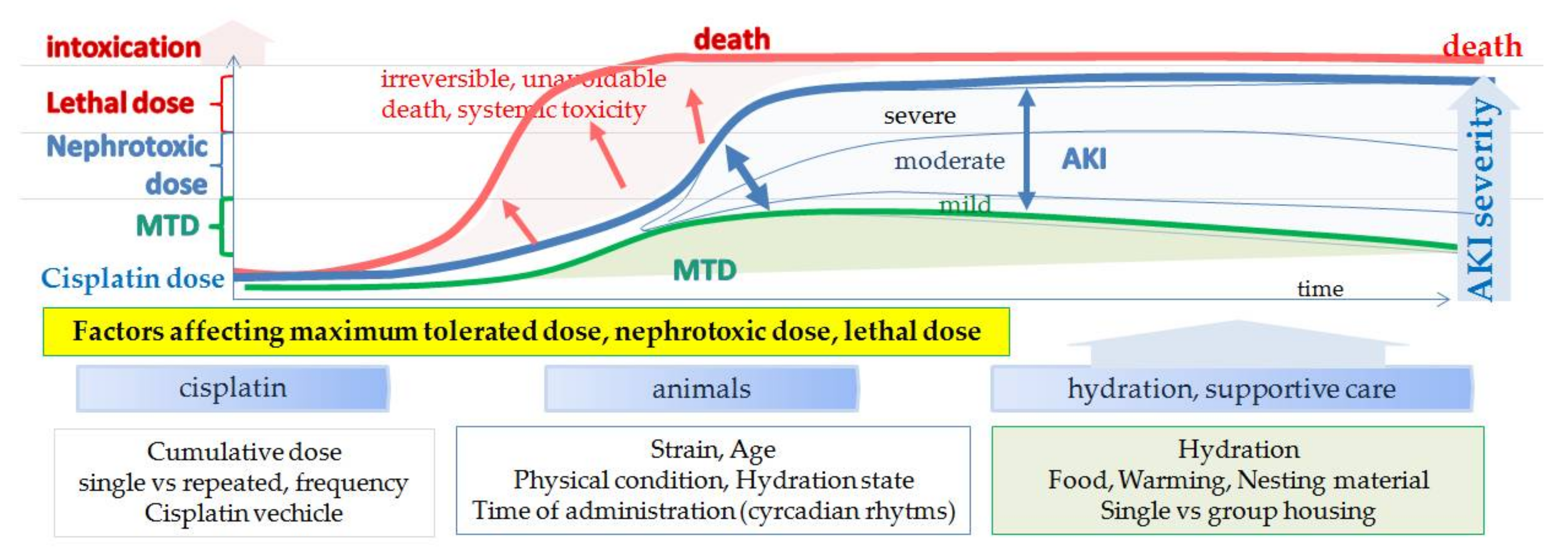 Biomedicines 09 01406 g006