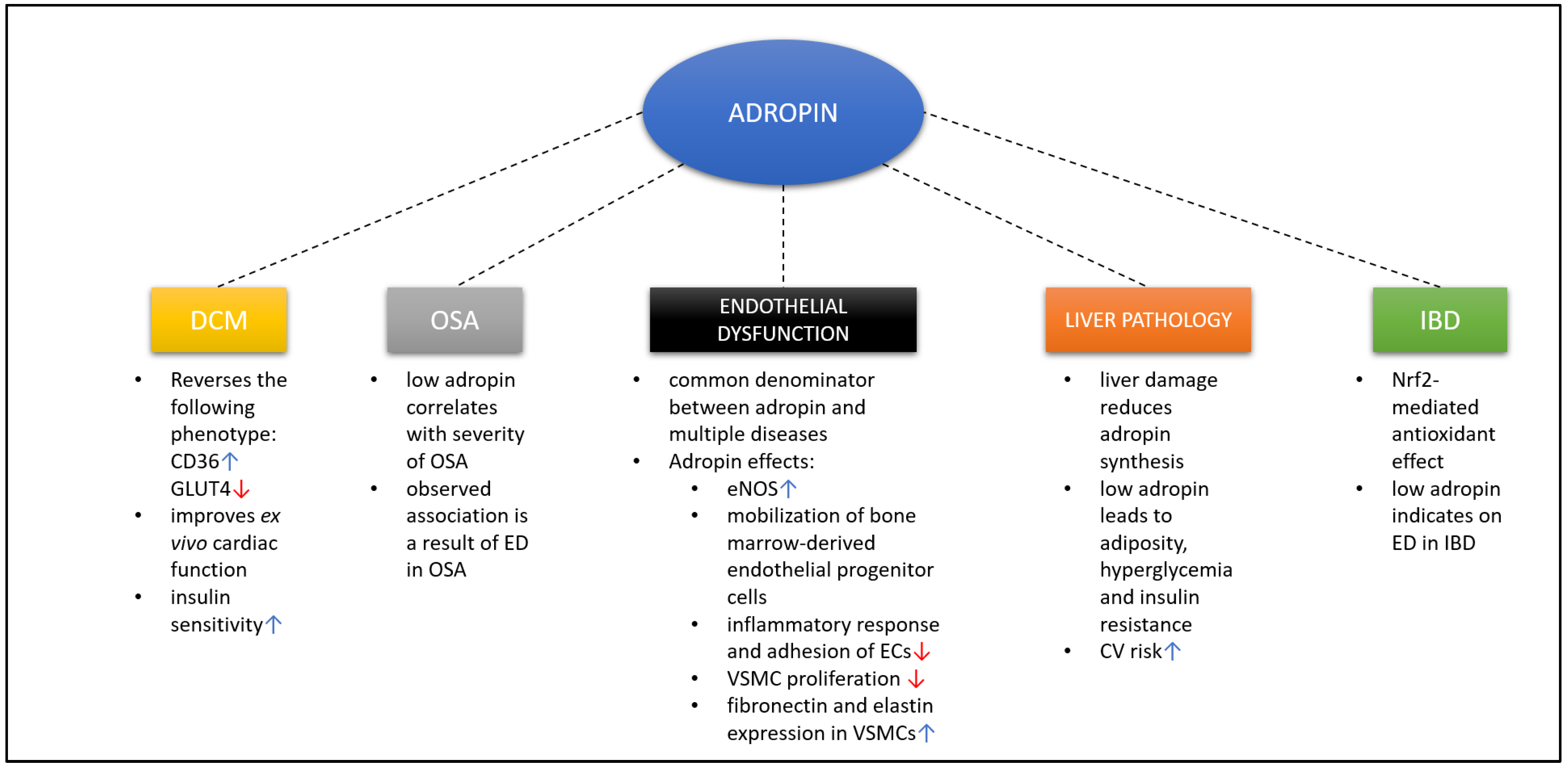 Biomedicines 09 01407 g002 550