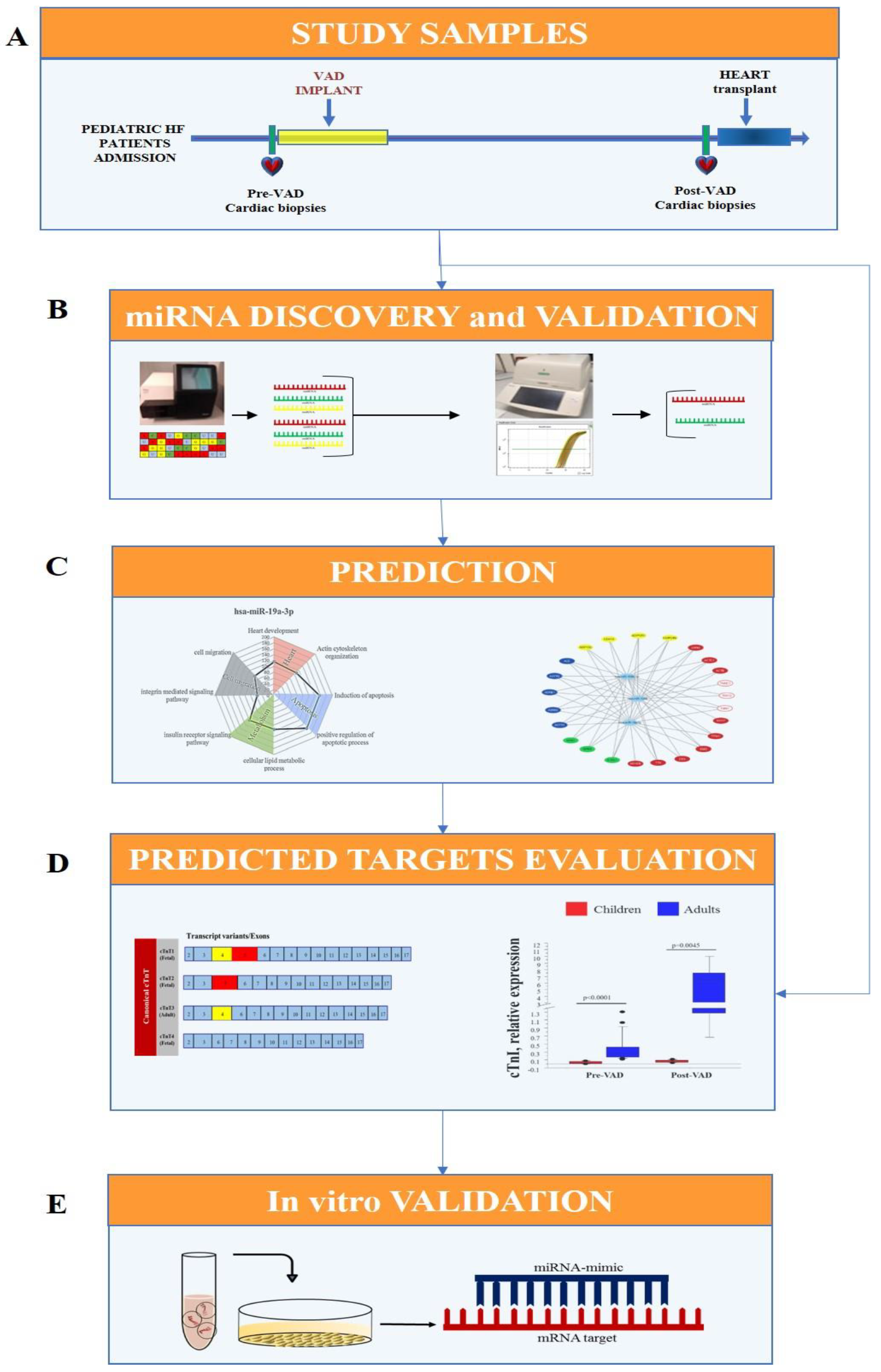 Biomedicines 09 01409 g001 550